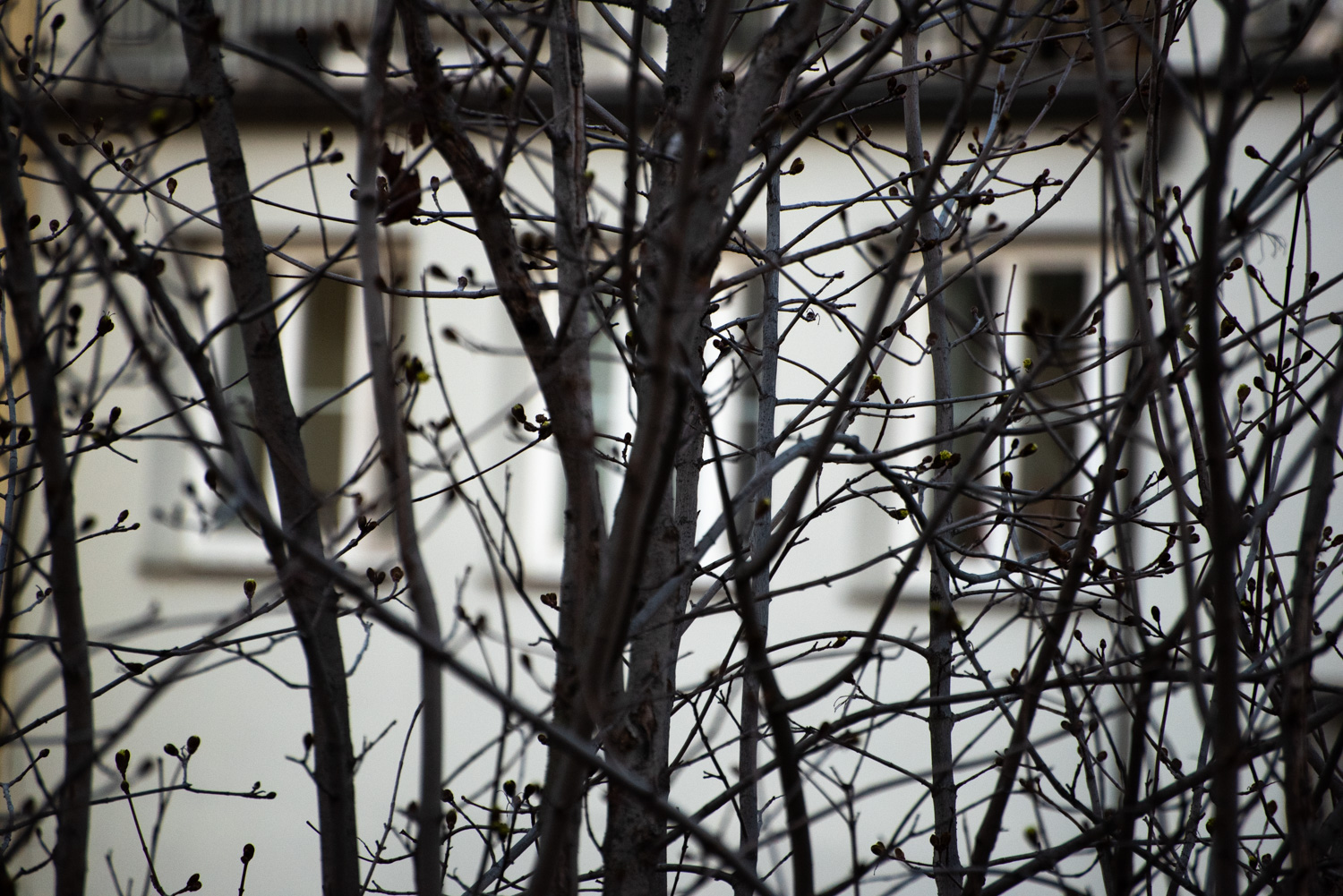 Falmouth MODIII-WIPP-10