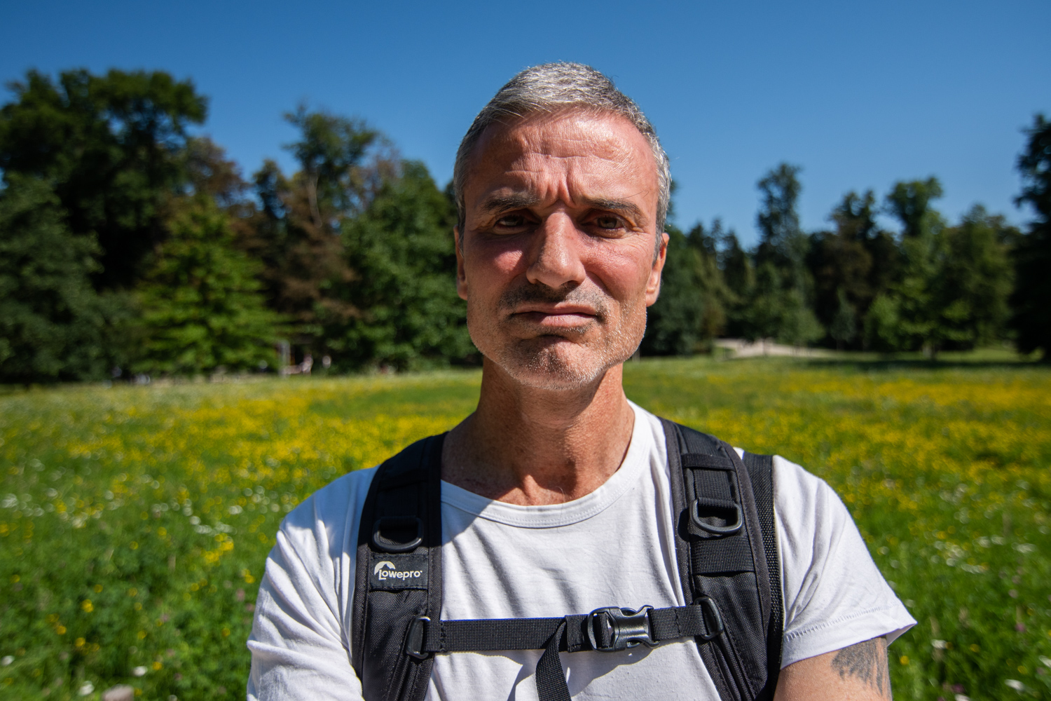 Falmouth MODIII-WIPP-20