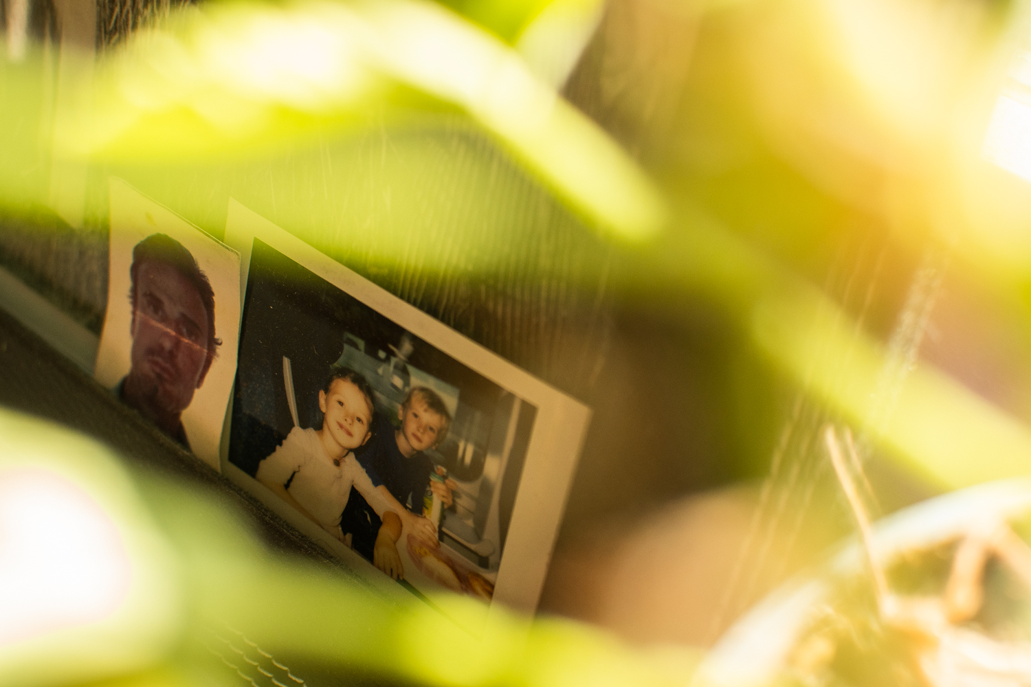 Falmouth MODIII-WIPP-8