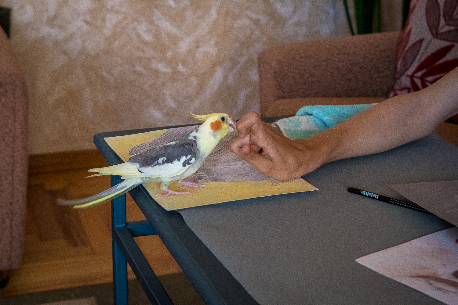 Azerbaijan Website 2020-11