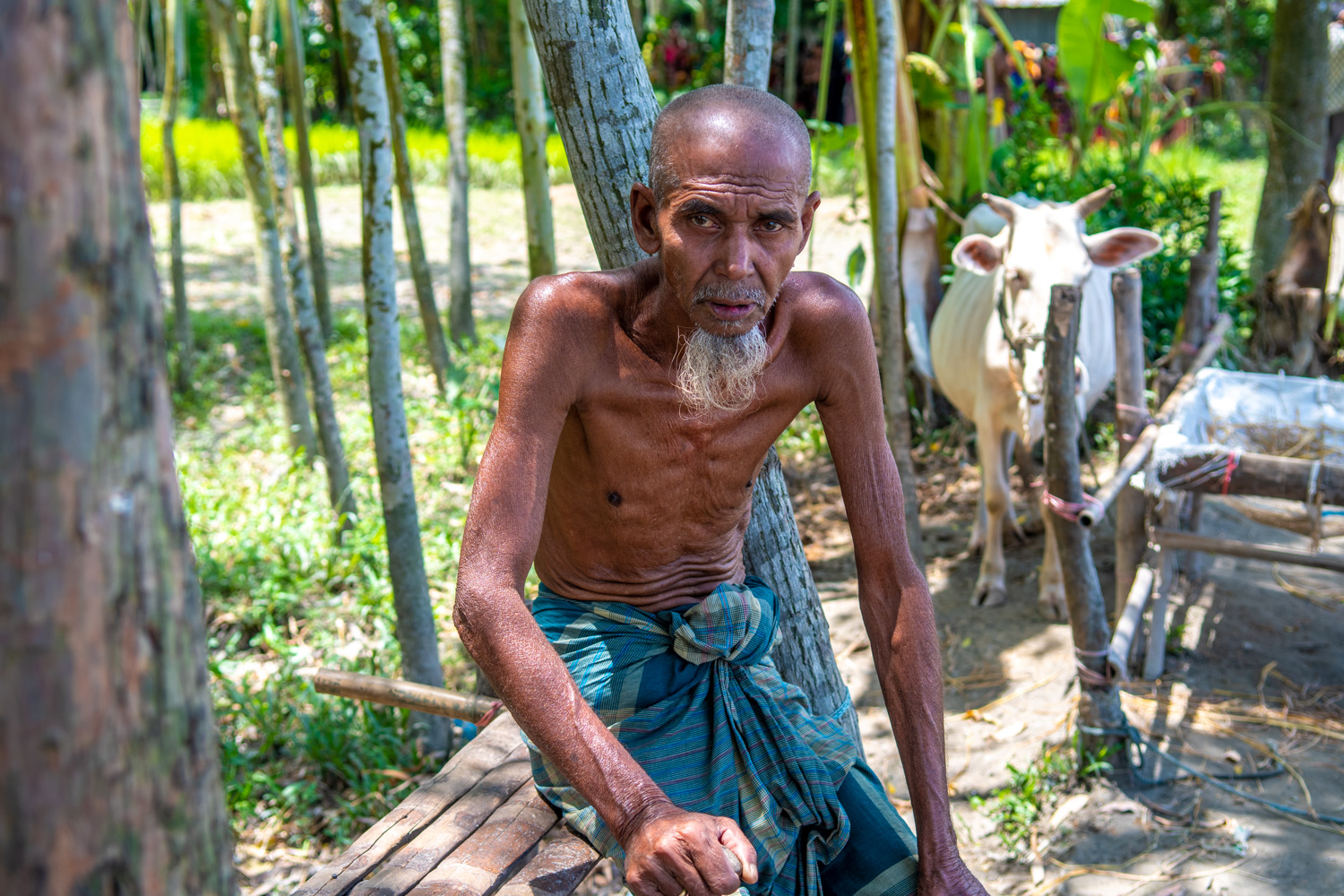 Bangladesh CBM Website 2020-25