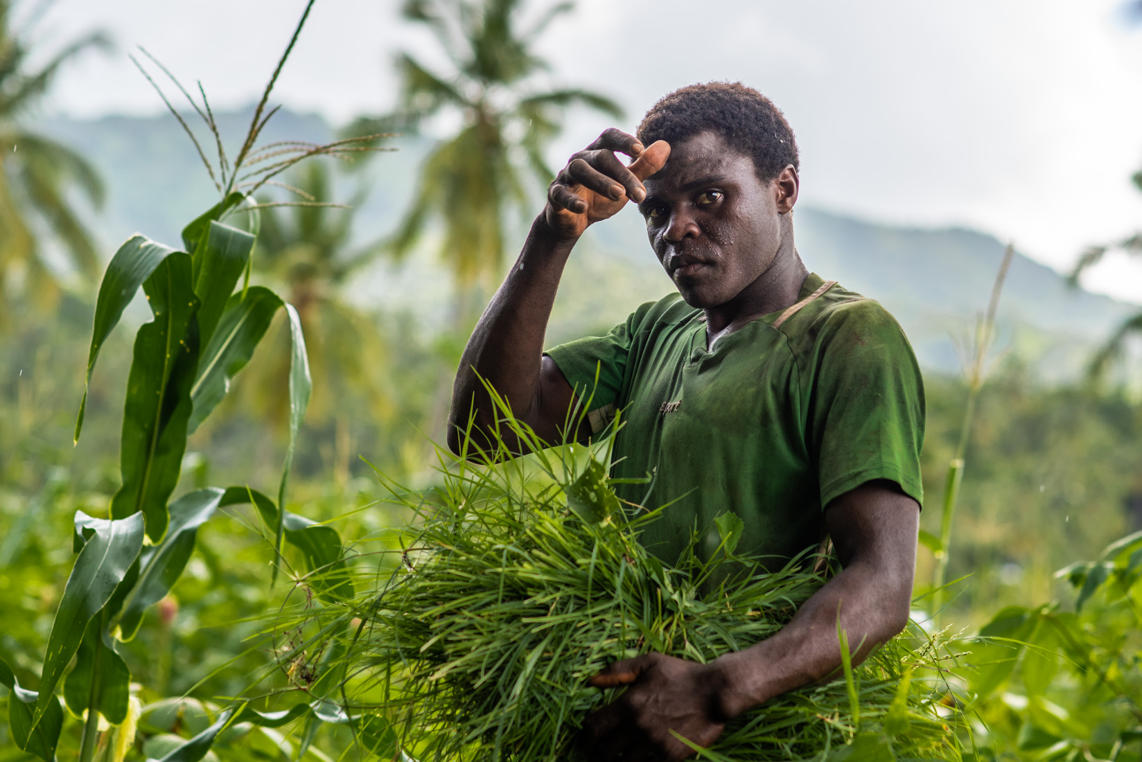 Comoros Website 2020-10