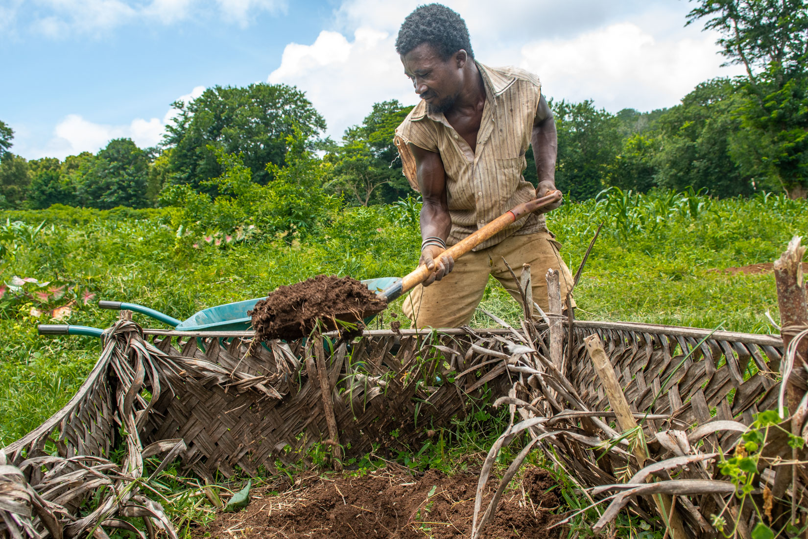 Comoros Website 2020-12