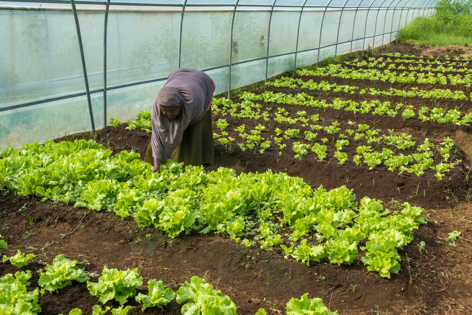 Comoros Website 2020-13