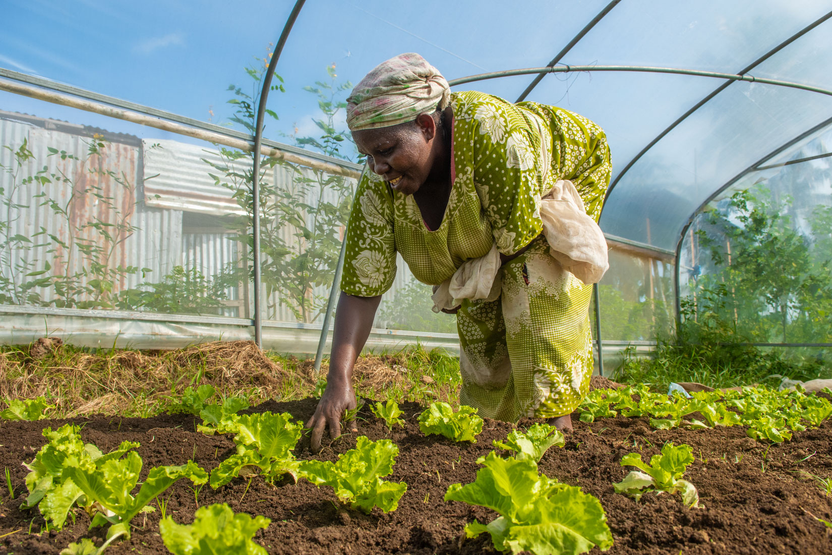 Comoros Website 2020-15