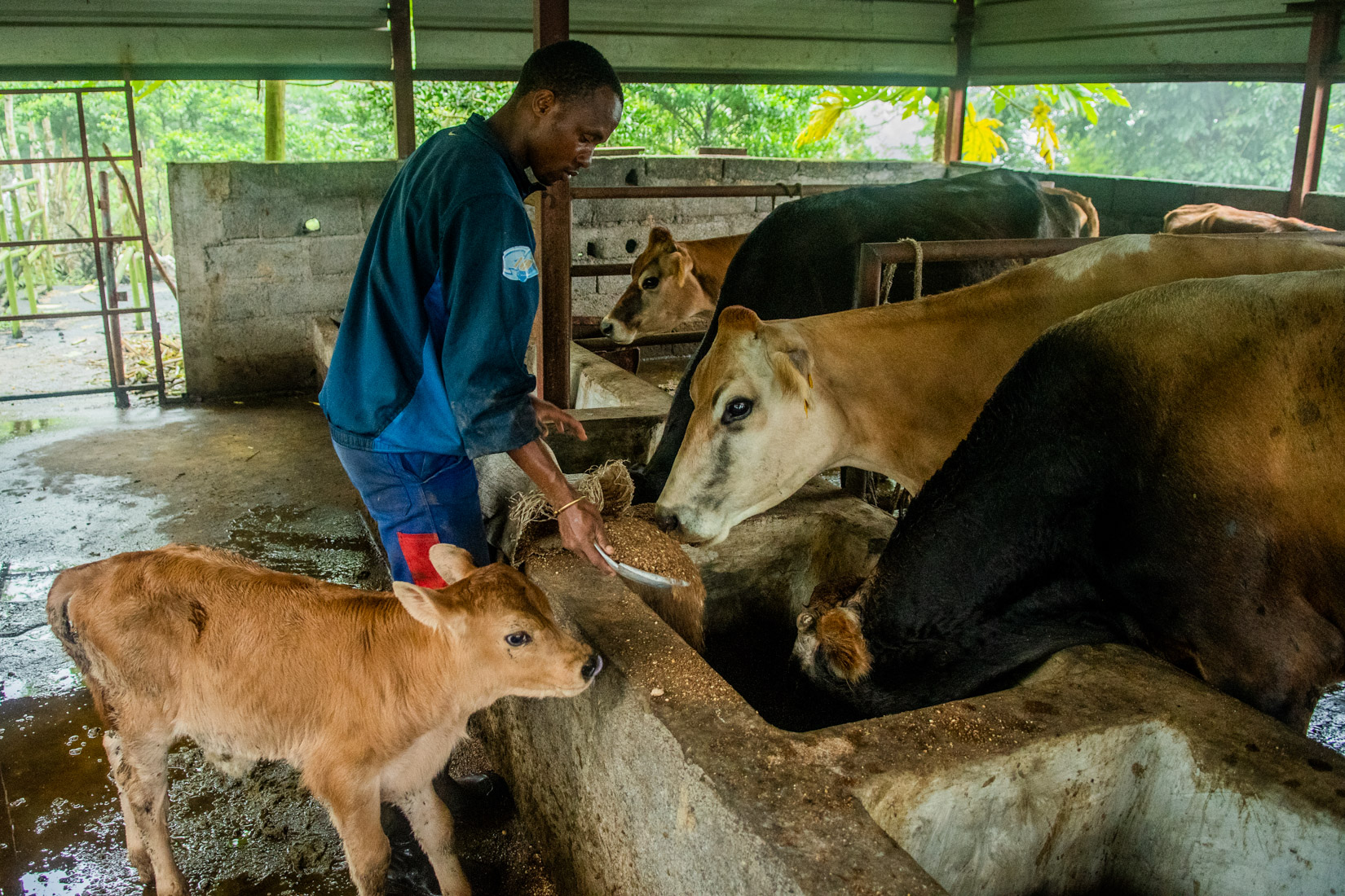 Comoros Website 2020-16