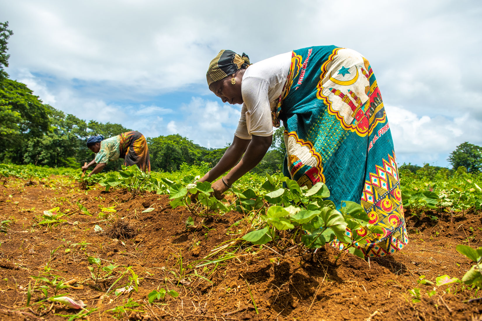 Comoros Website 2020-18