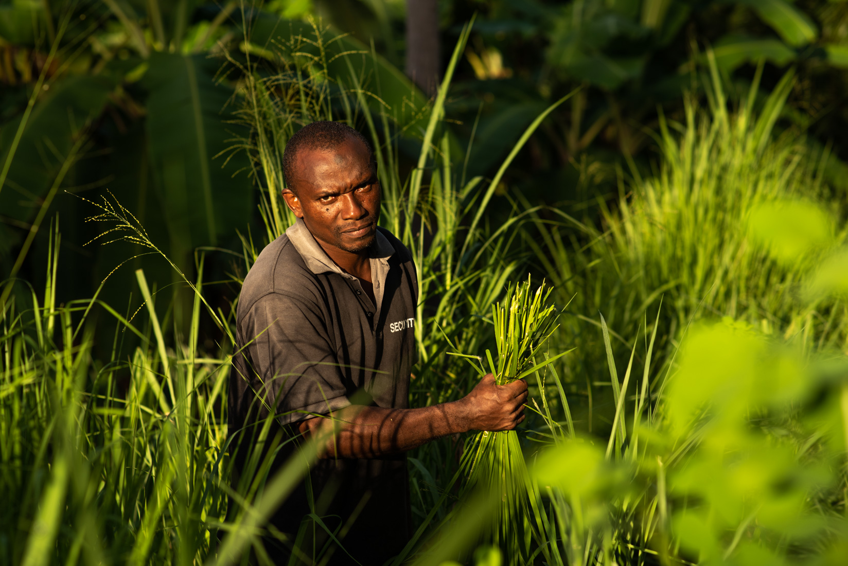 Comoros Website 2020-20
