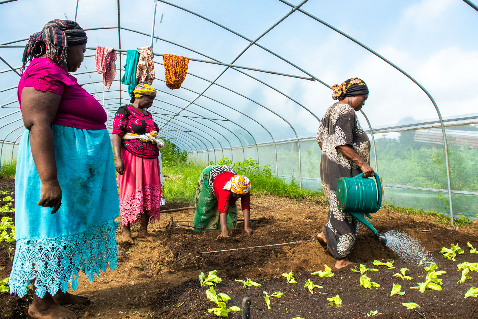 Comoros Website 2020-21