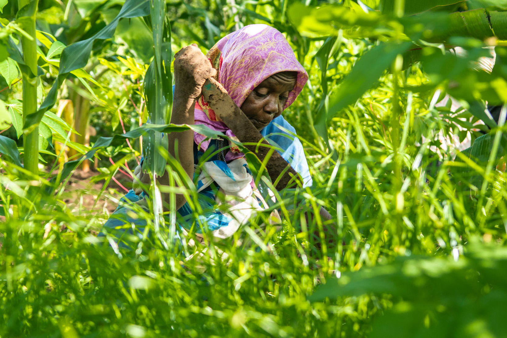 Comoros Website 2020-22