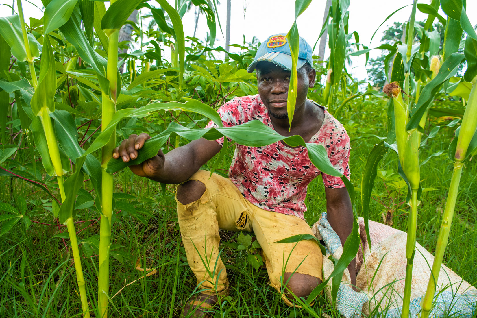 Comoros Website 2020-24