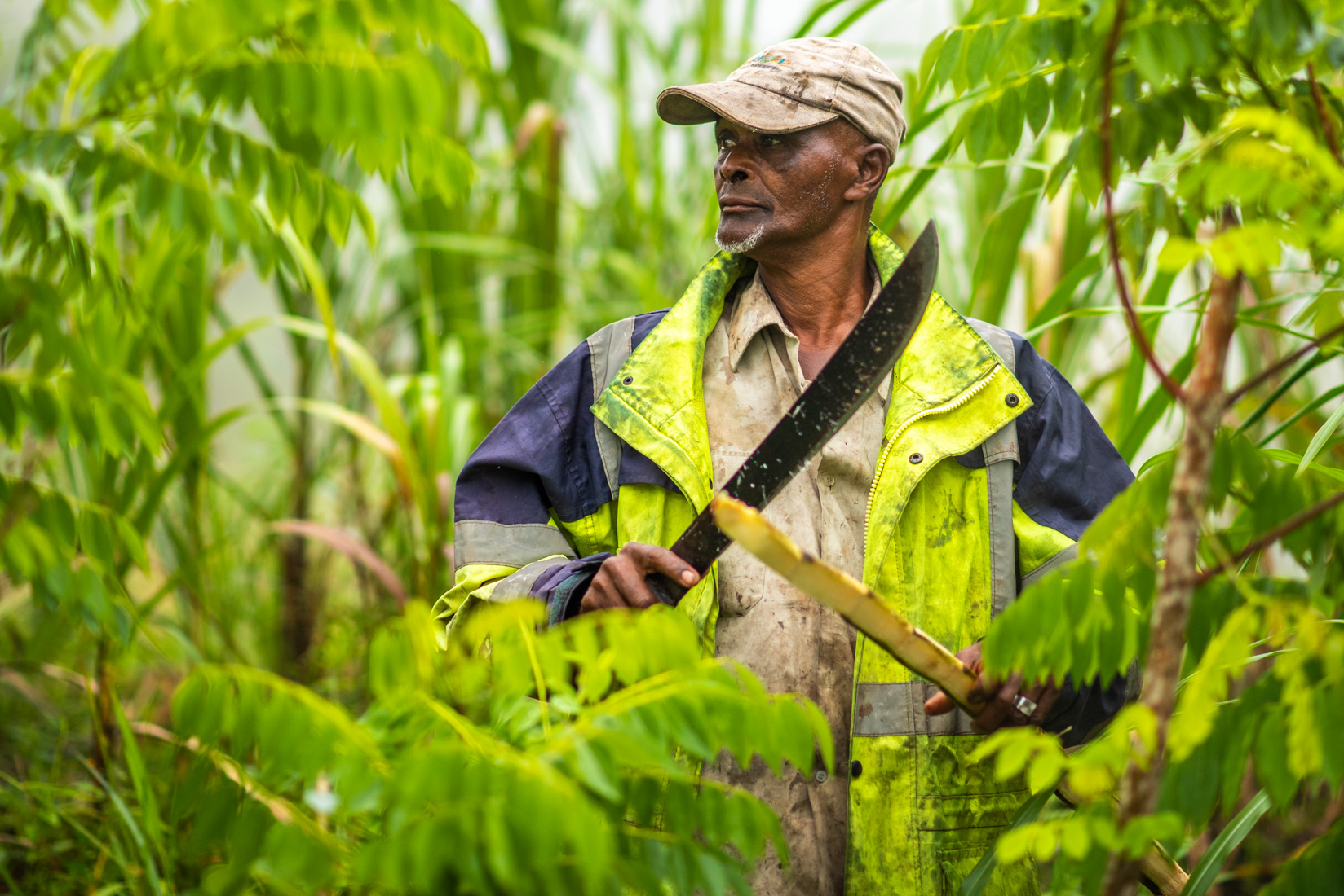 Comoros Website 2020-25