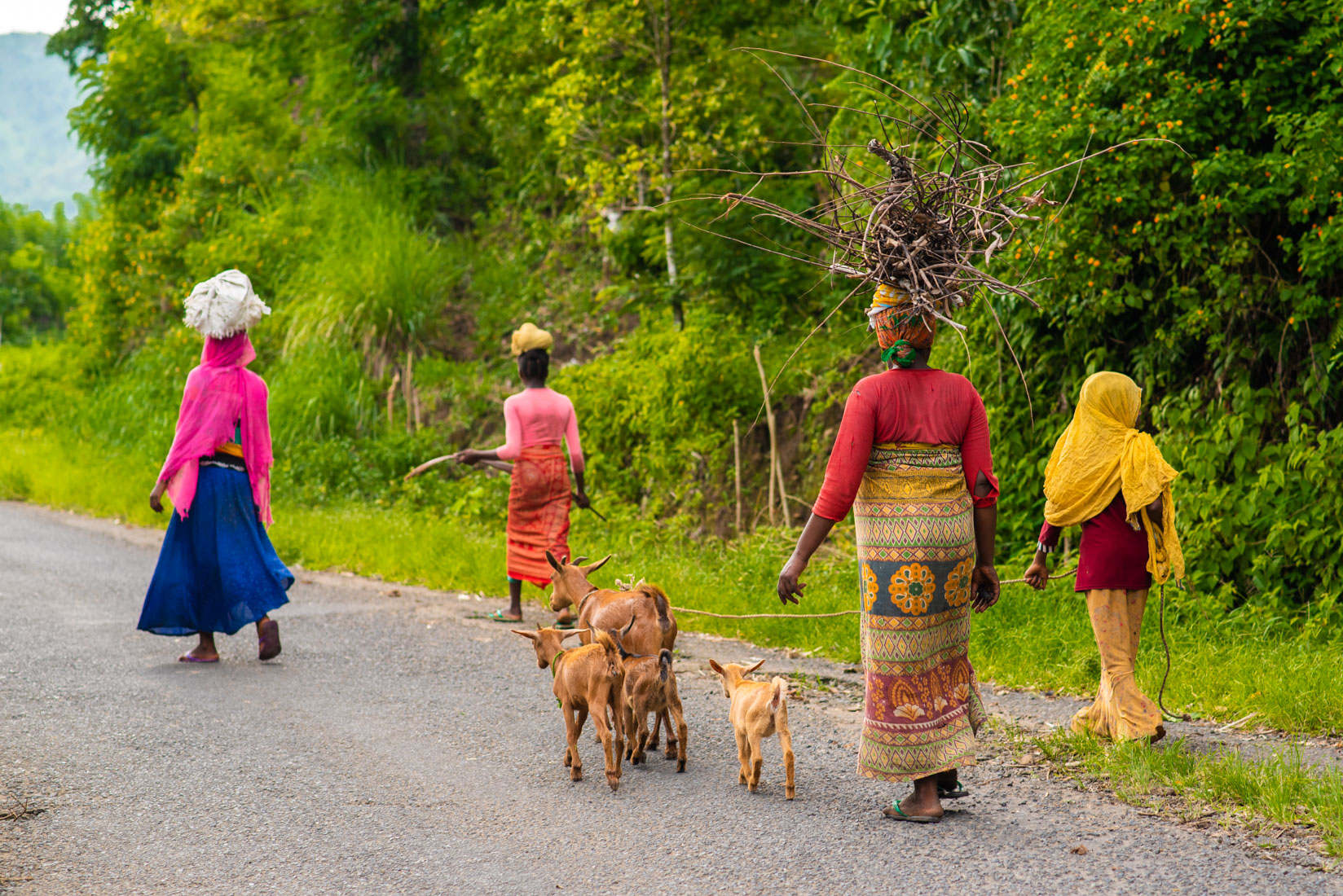 Comoros Website 2020-26