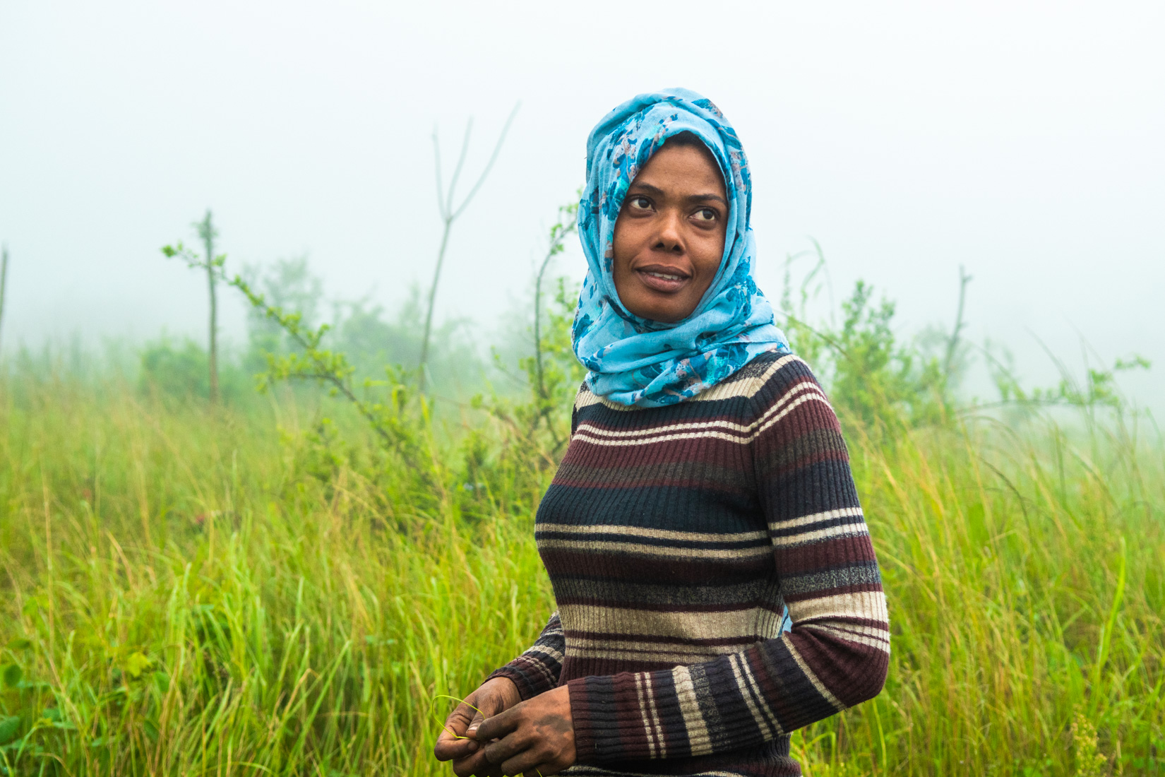 Comoros Website 2020-29