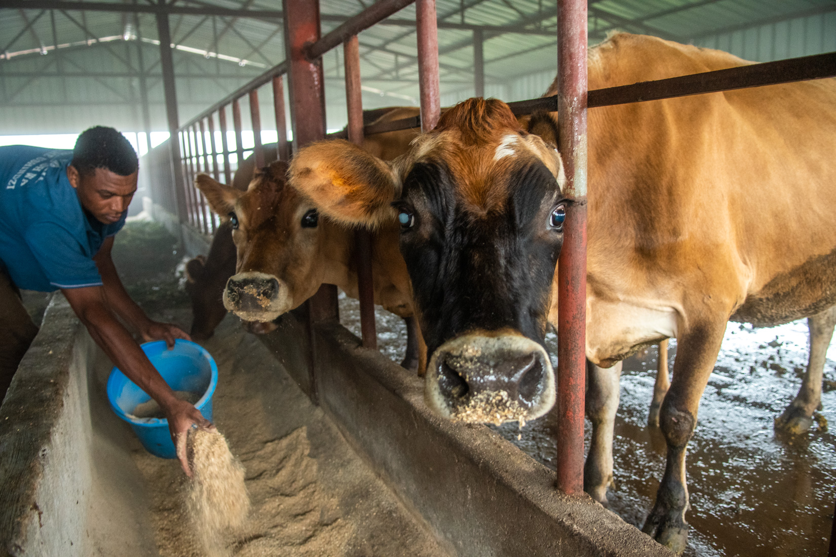 Comoros Website 2020-3