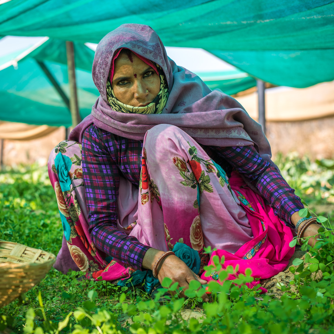 India Website 2020-21