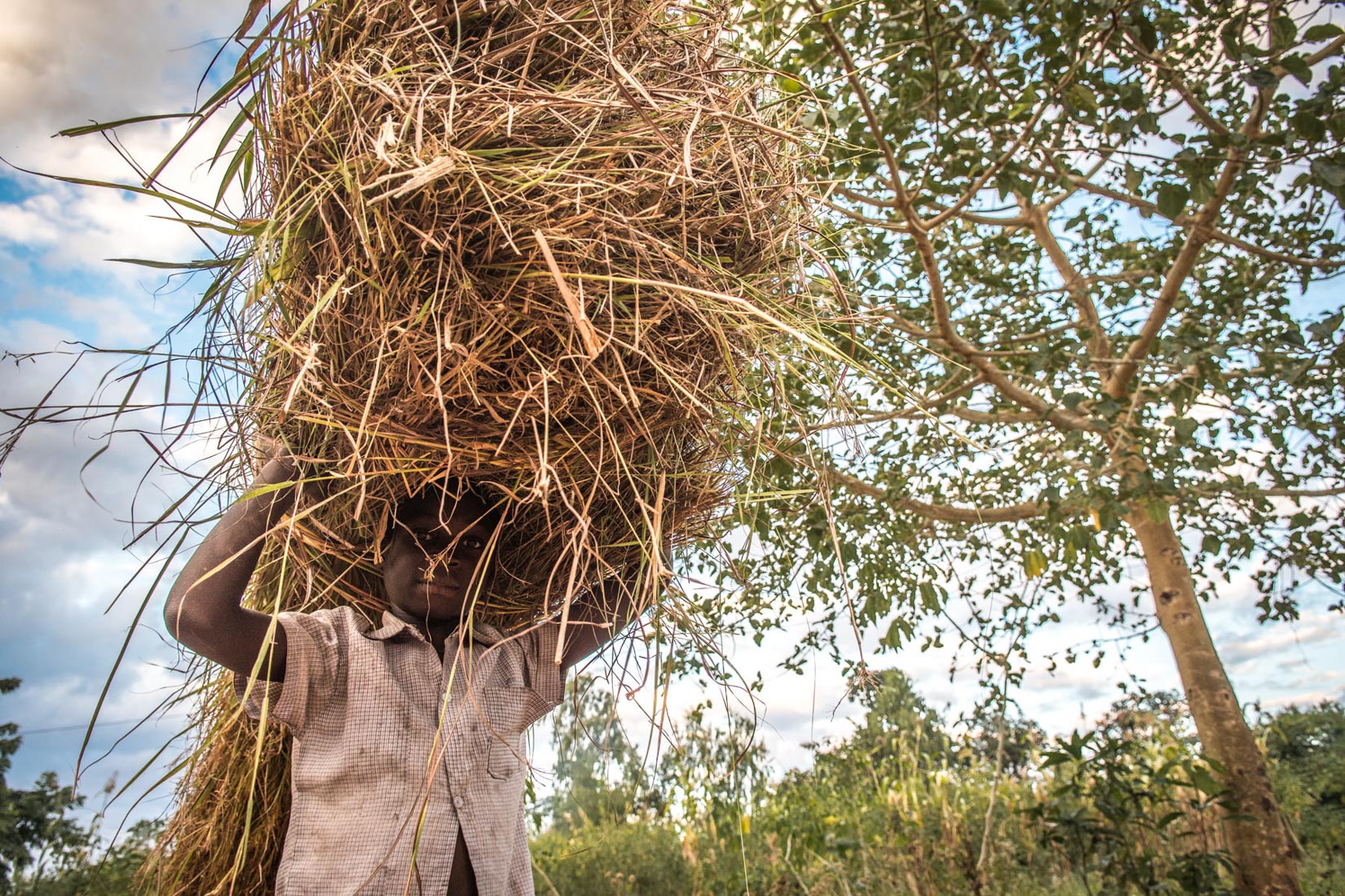 Malawi Website 2020-6