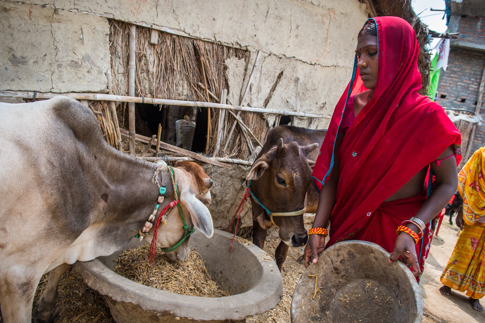 Nepal Website 2020-31