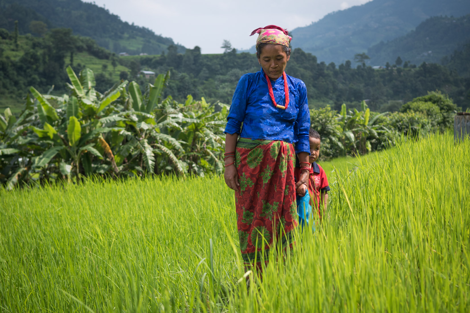 Nepal Website 2020-5