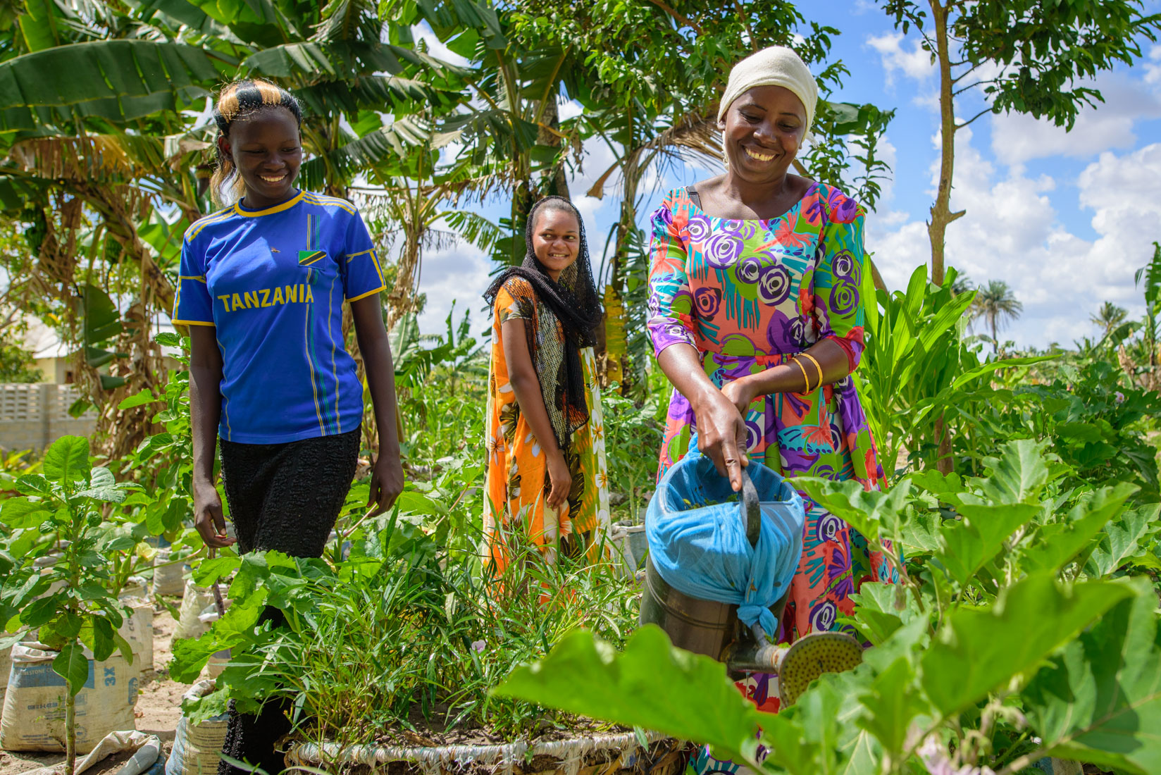 Women pouring water to plants