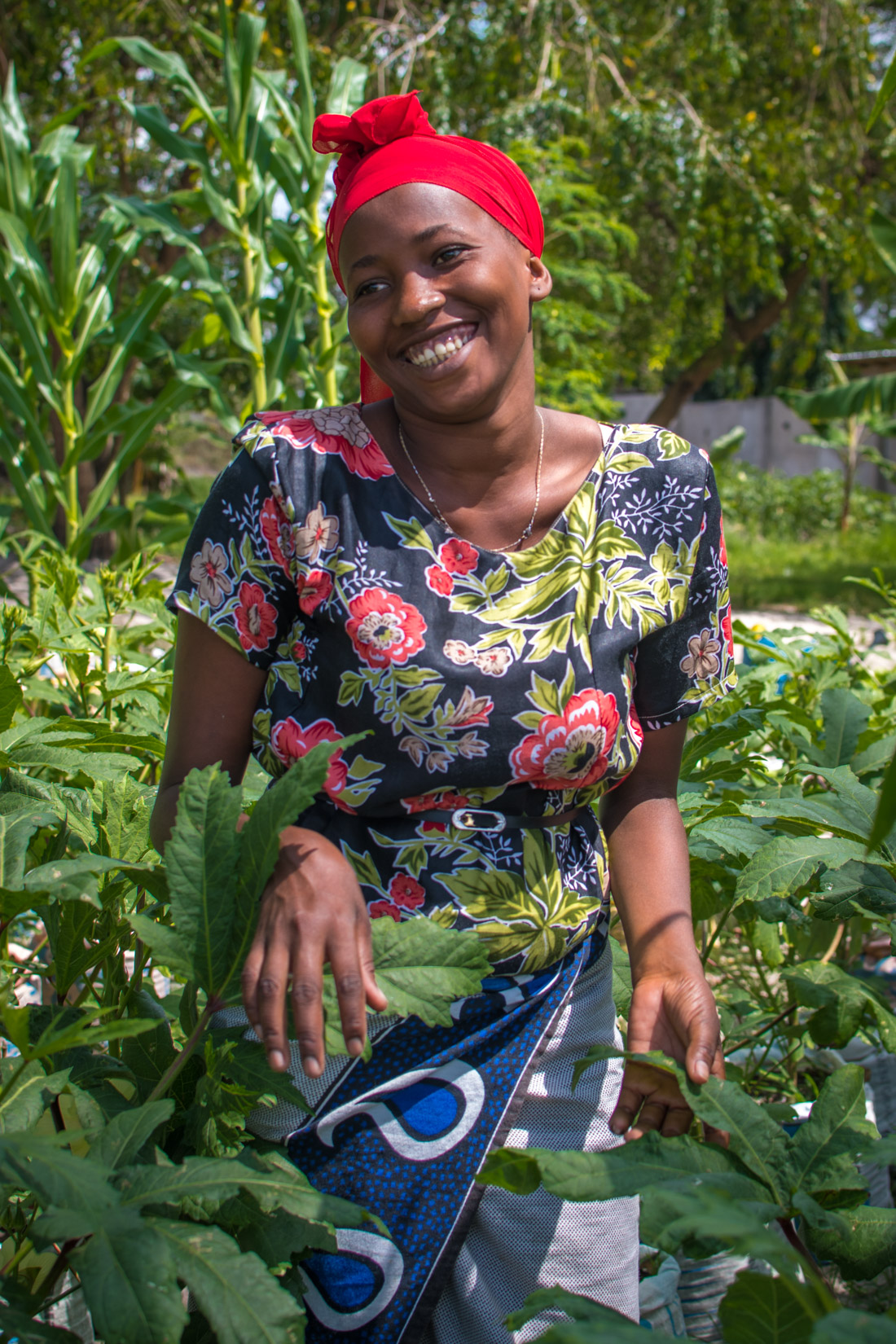 Women pouring water to plants