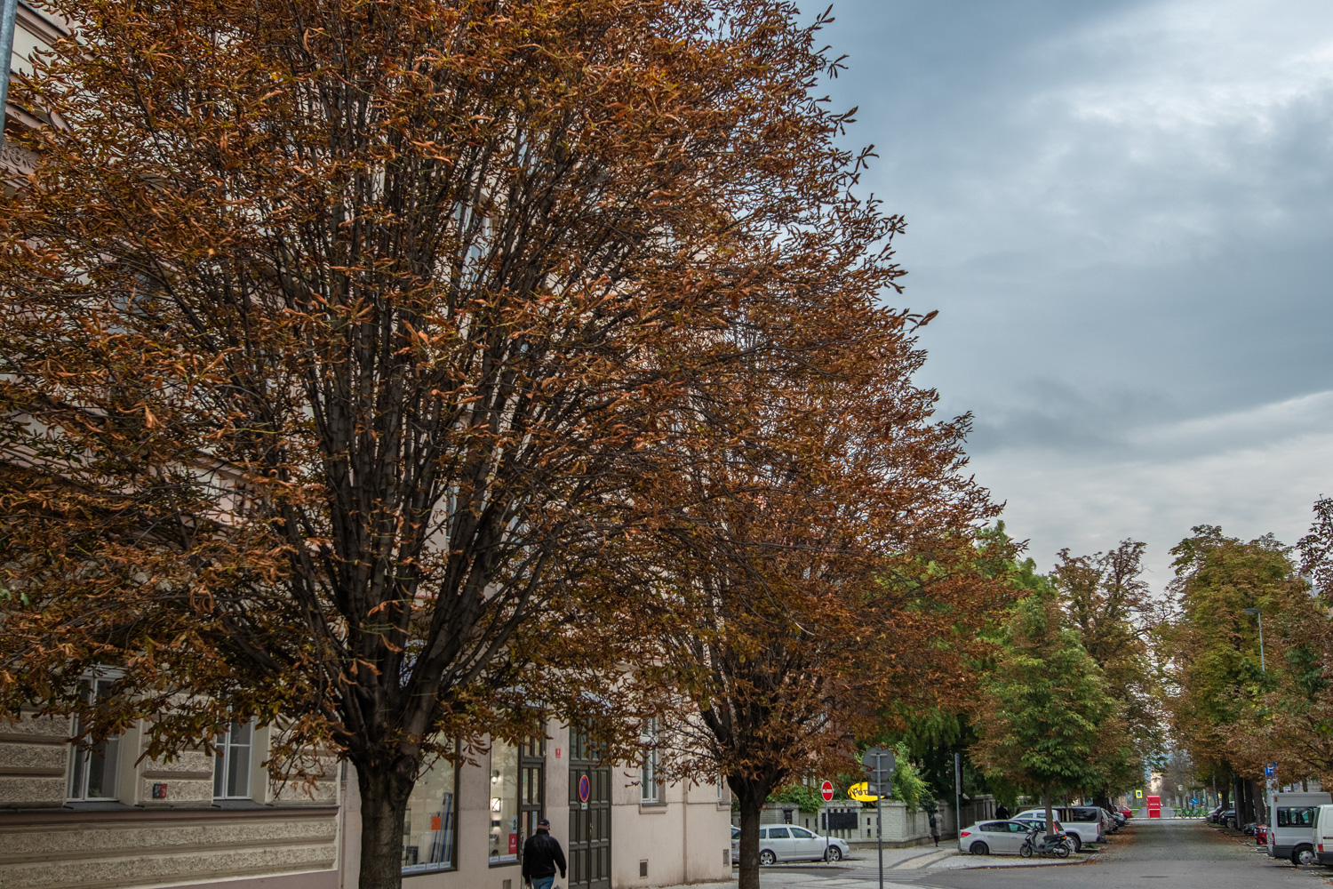 GBELL_Tutorial 1to1 Mod IV-14