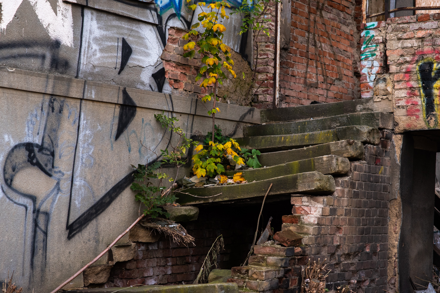 GBELL_Tutorial 1to1 Mod IV-20