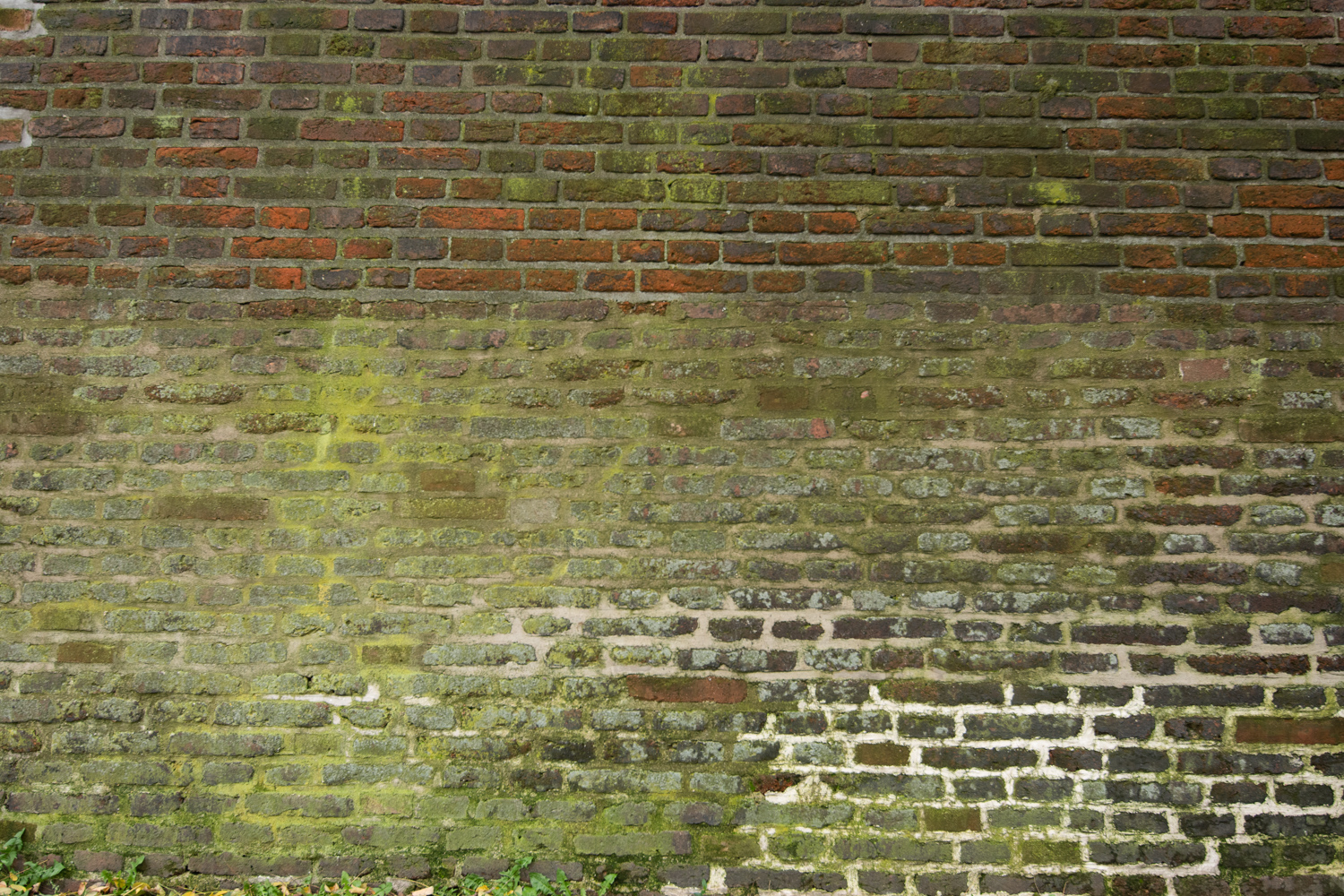 GBELL_Tutorial 1to1 Mod IV-22