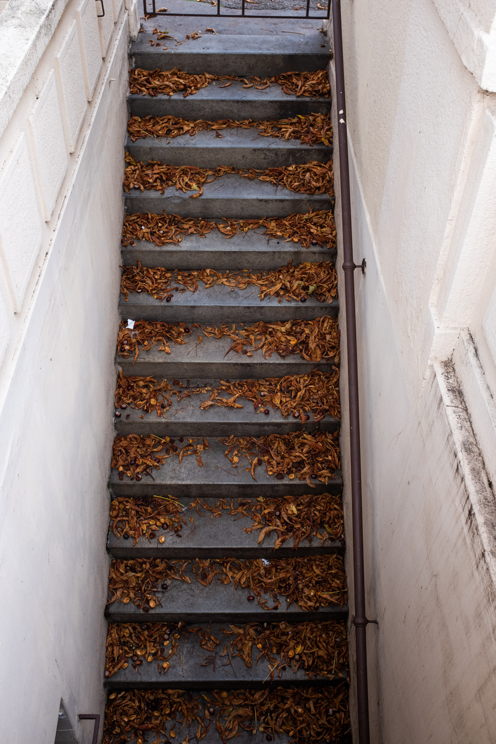 GBELL_Tutorial 1to1 Mod IV-25