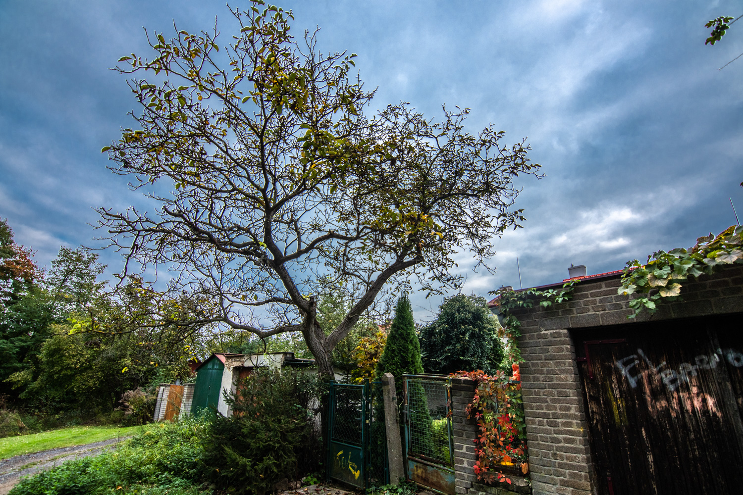 GBELL_Tutorial 1to1 Mod IV-49