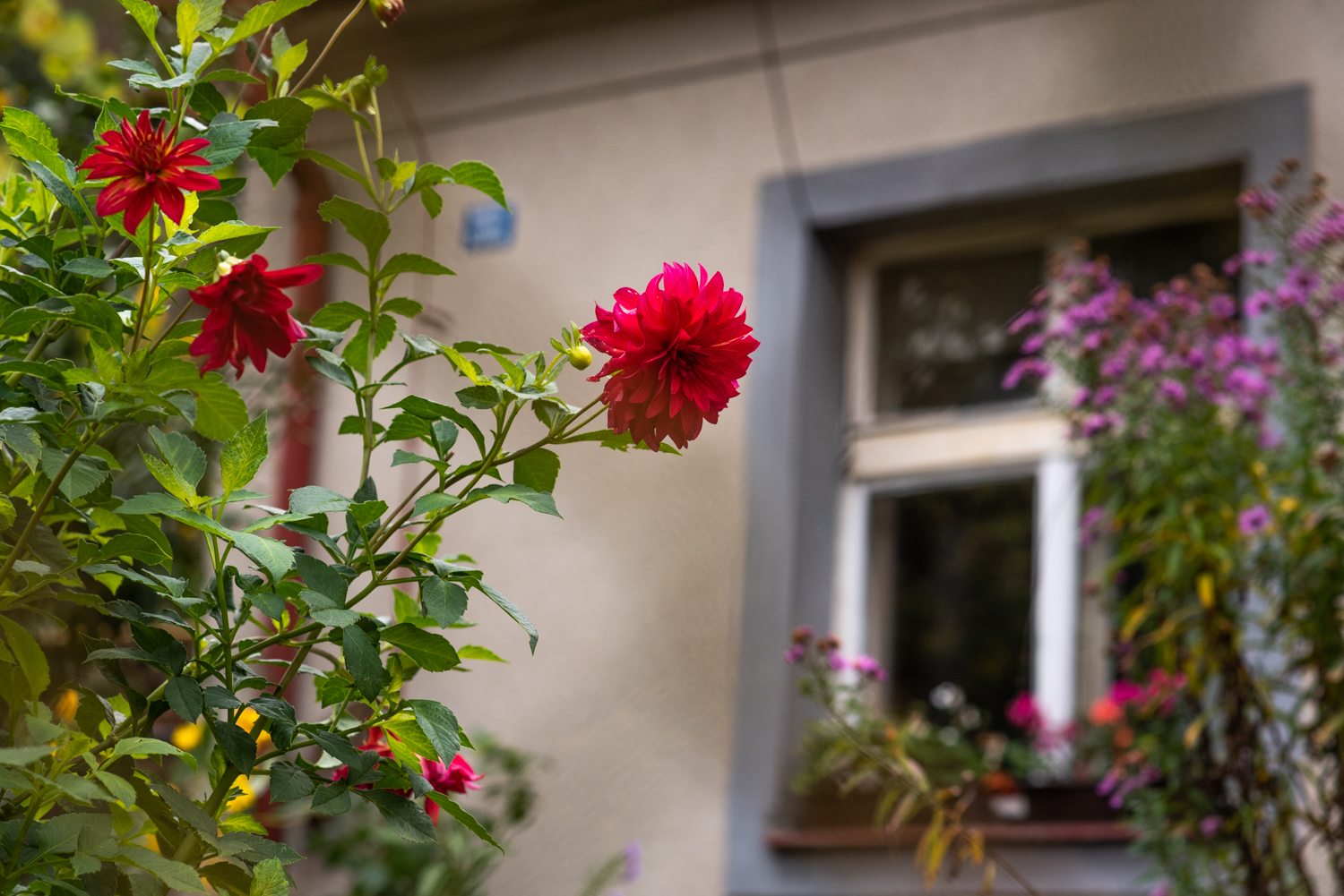 GBELL_Tutorial 1to1 Mod IV-51