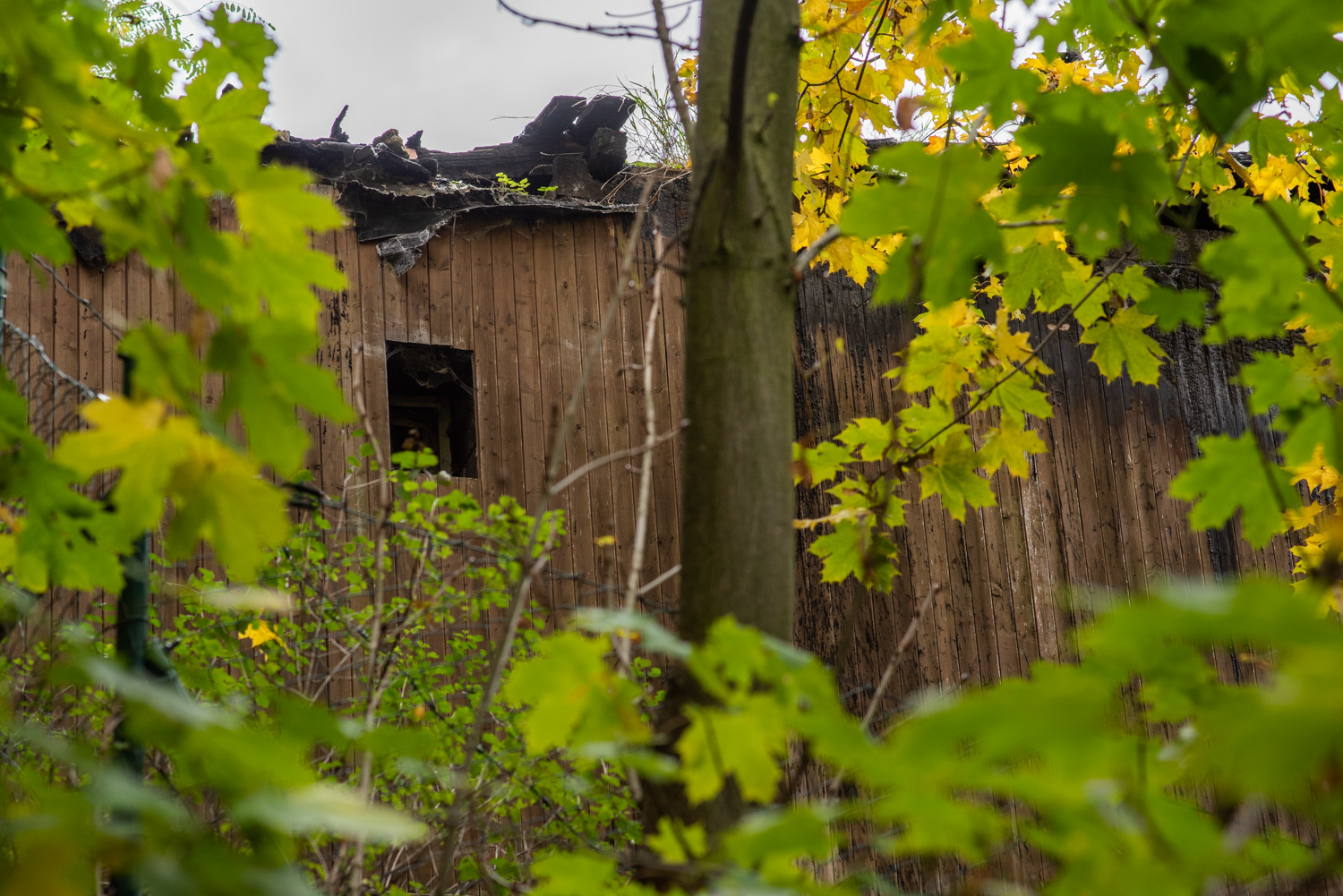 GBELL_Tutorial 1to1 Mod IV-52