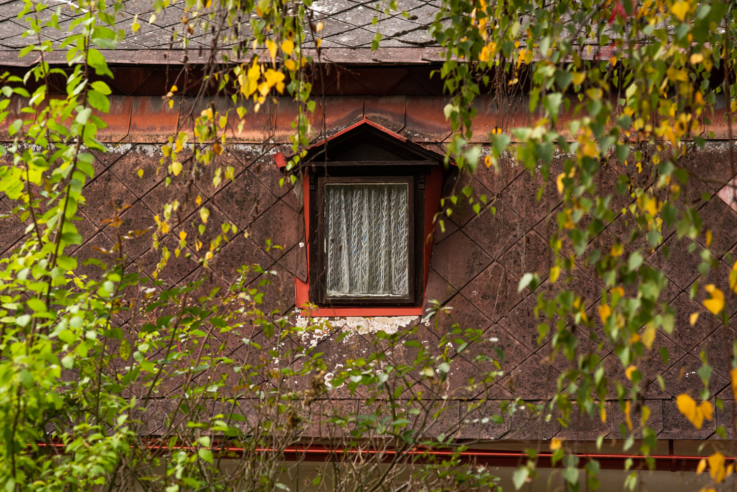 GBELL_Tutorial 1to1 Mod IV-53