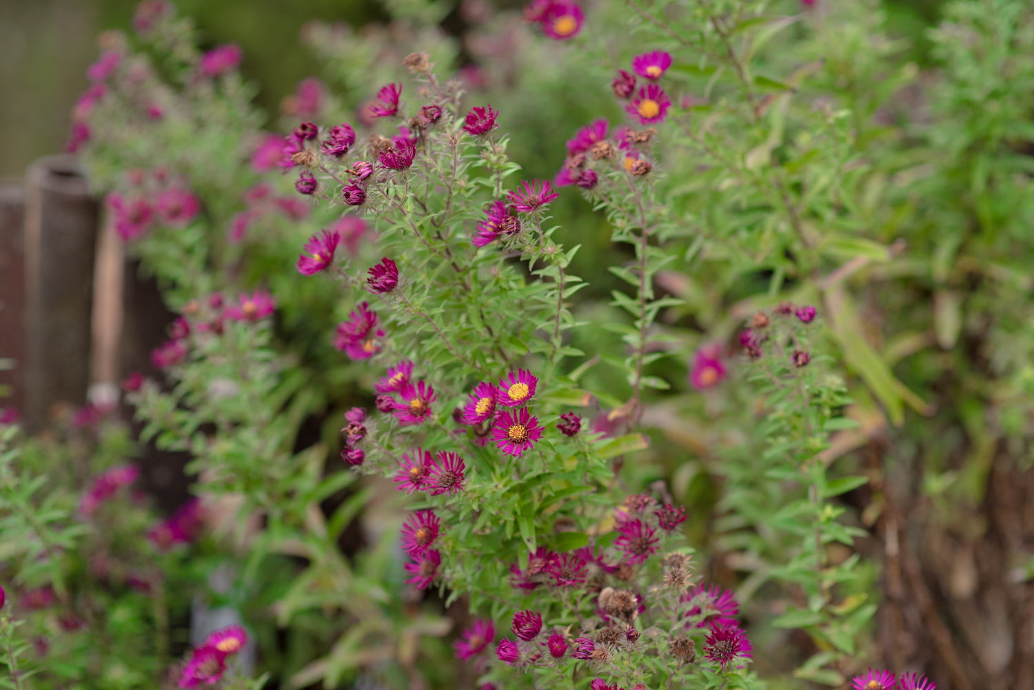 GBELL_Tutorial 1to1 Mod IV-64