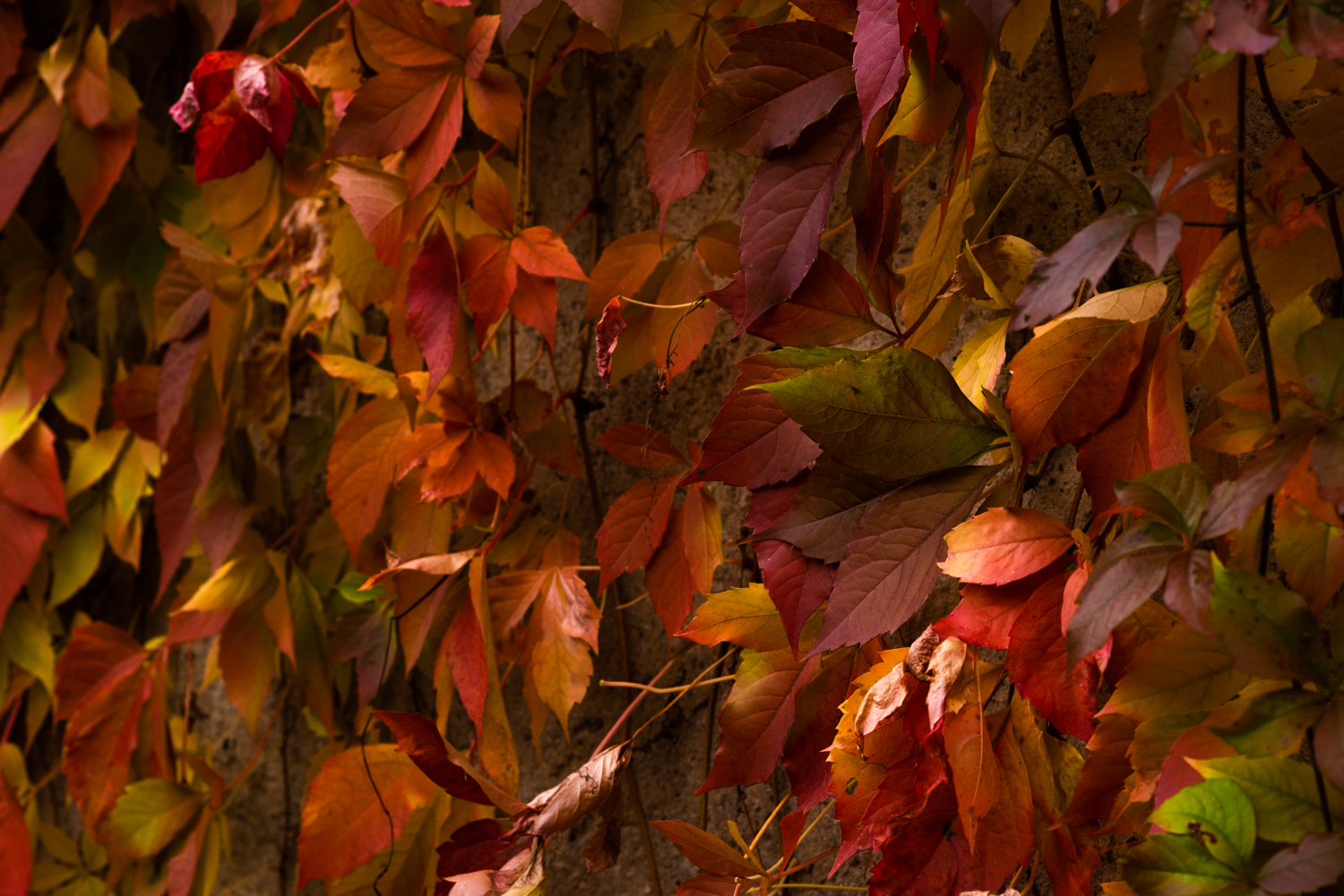 GBELL_Tutorial 1to1 Mod IV-65