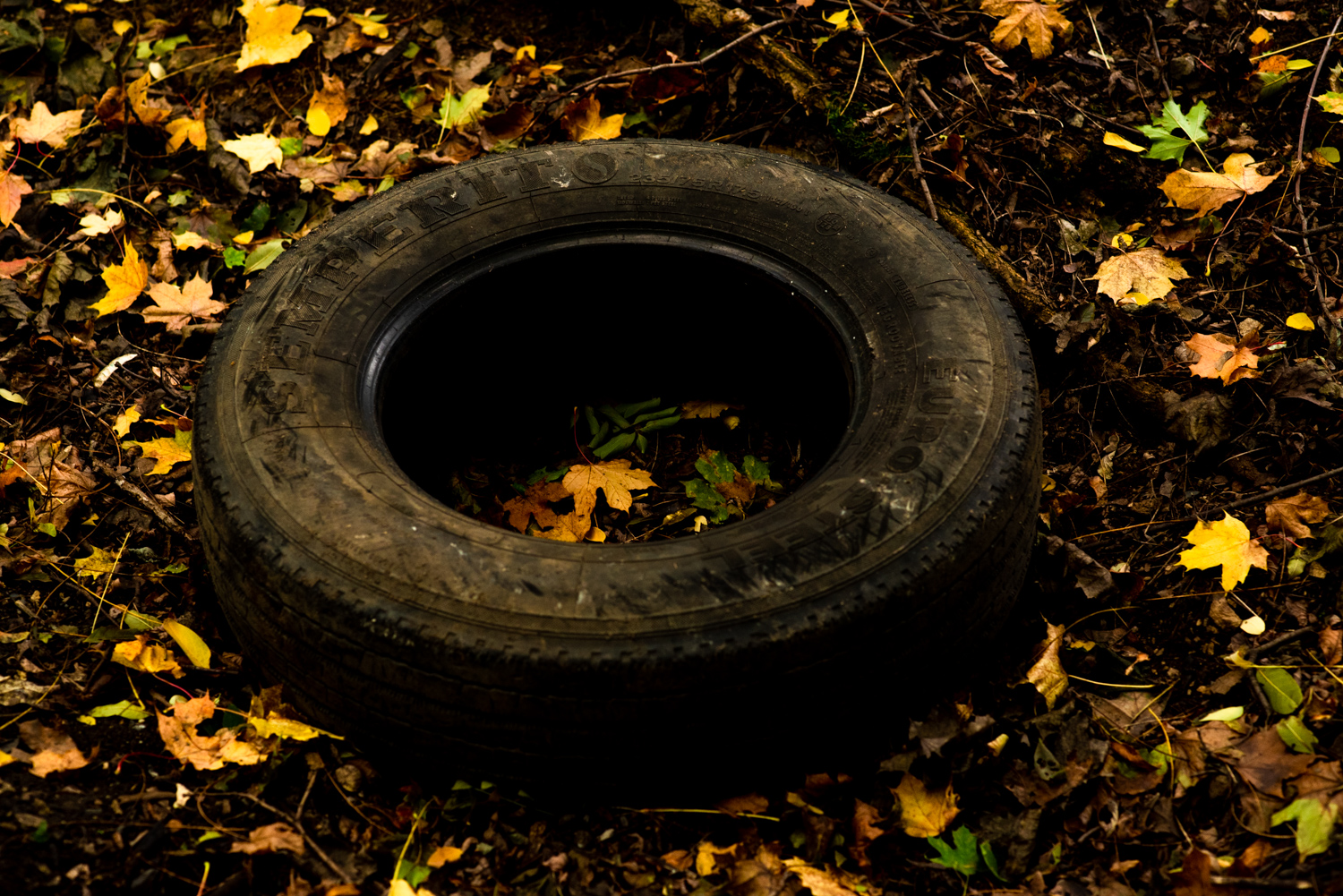 GBELL_Tutorial 1to1 Mod IV-66