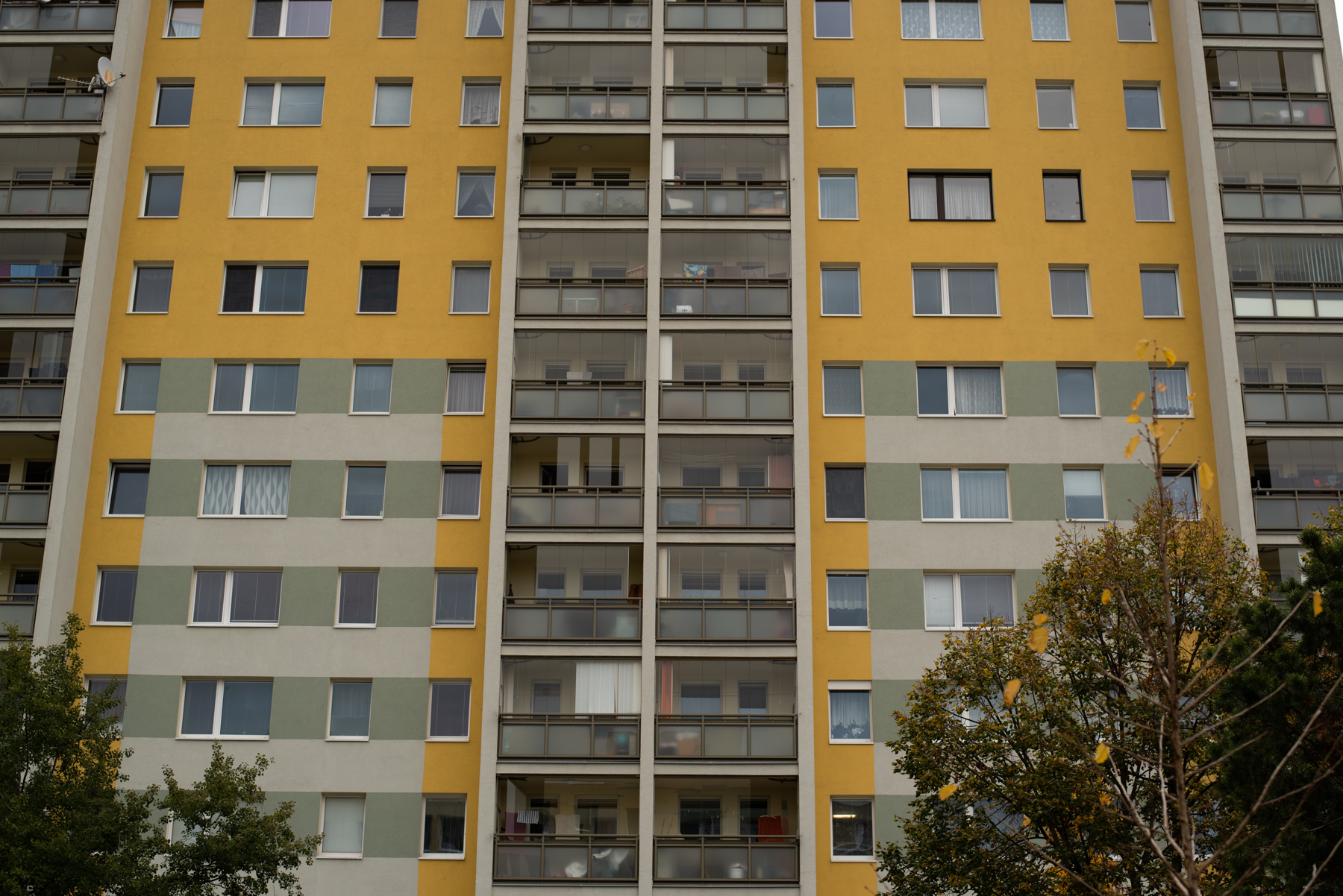 Panelak 1st presentation to Colin-22