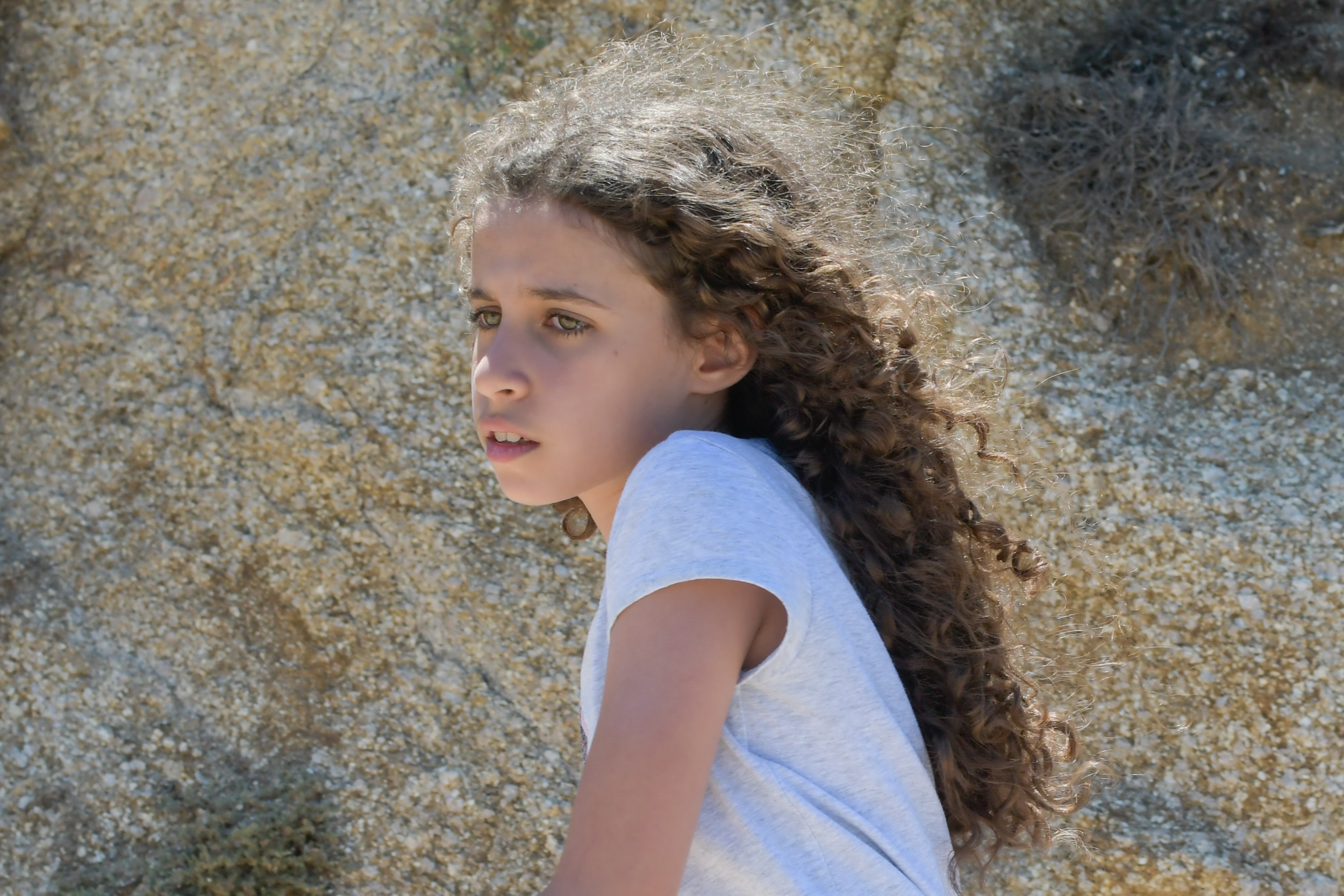 Corsega for Website-8