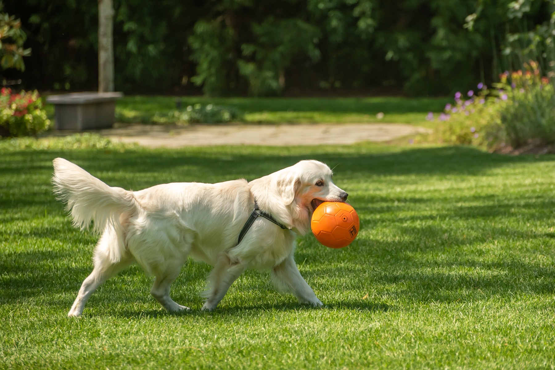 Hamptons GBELL for photobook 2021-12