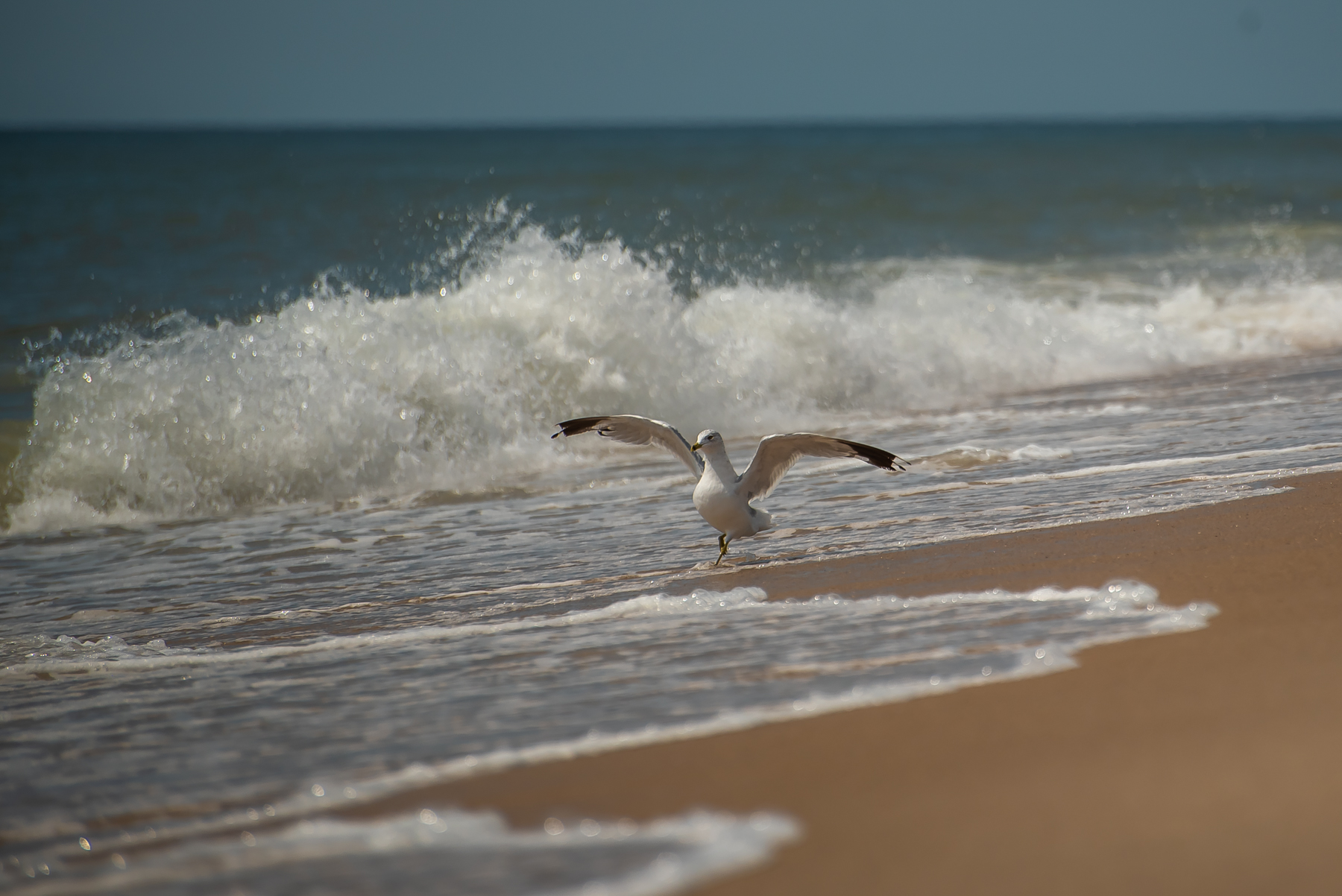 Hamptons GBELL for photobook 2021-50