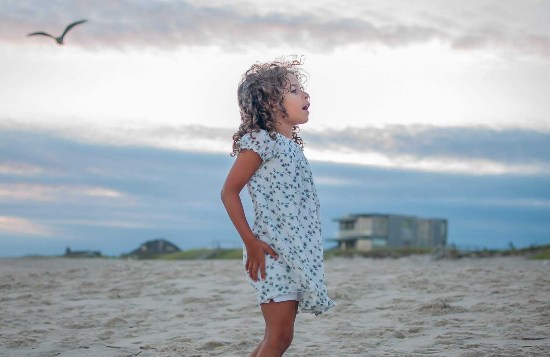 Hamptons III photobook first draft 2021-23