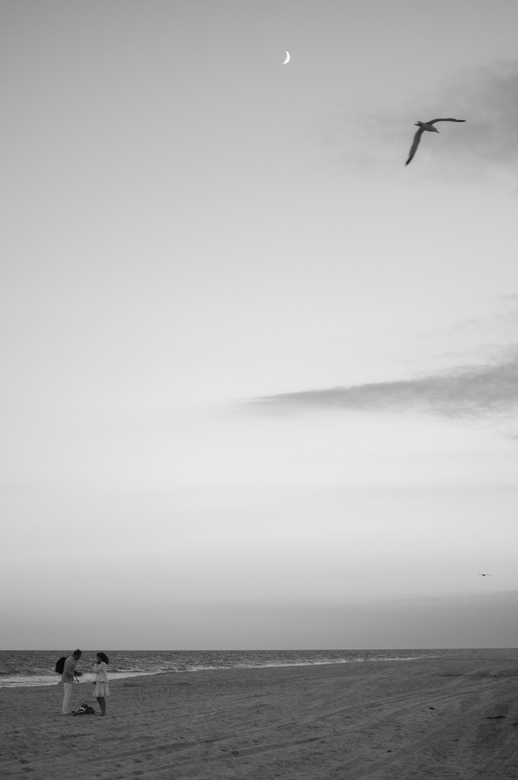 Hamptons III photobook first draft 2021-39