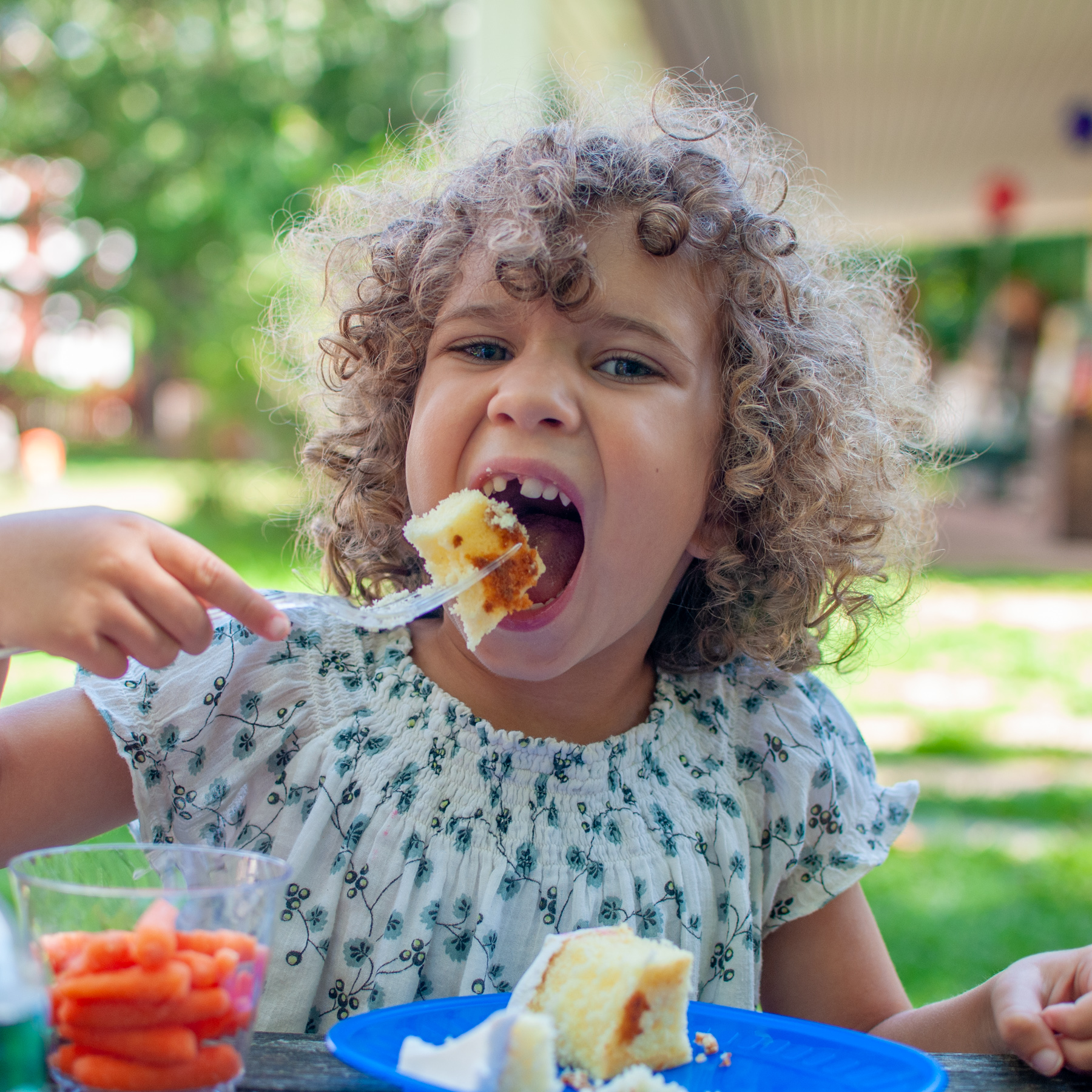 Hamptons III photobook first draft 2021-4