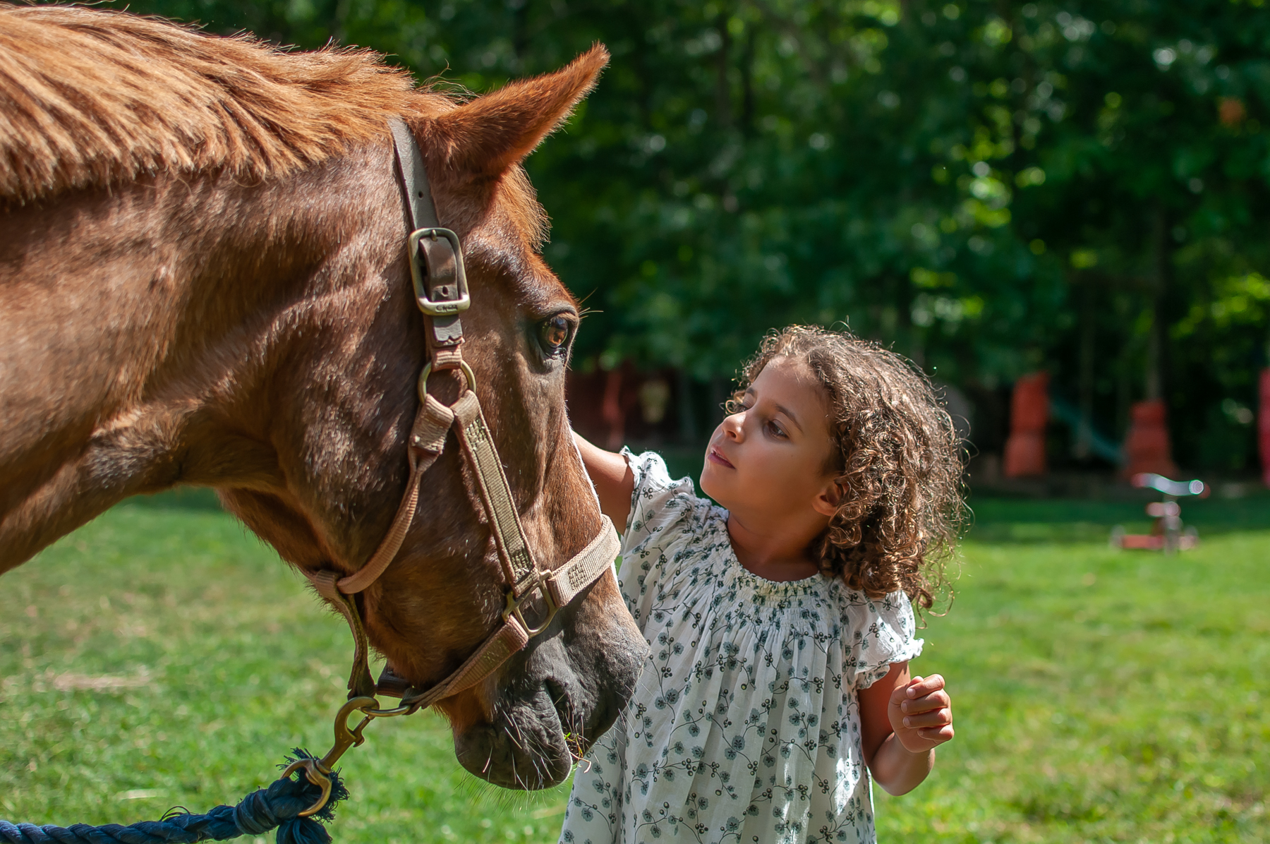 Hamptons III photobook first draft 2021-8