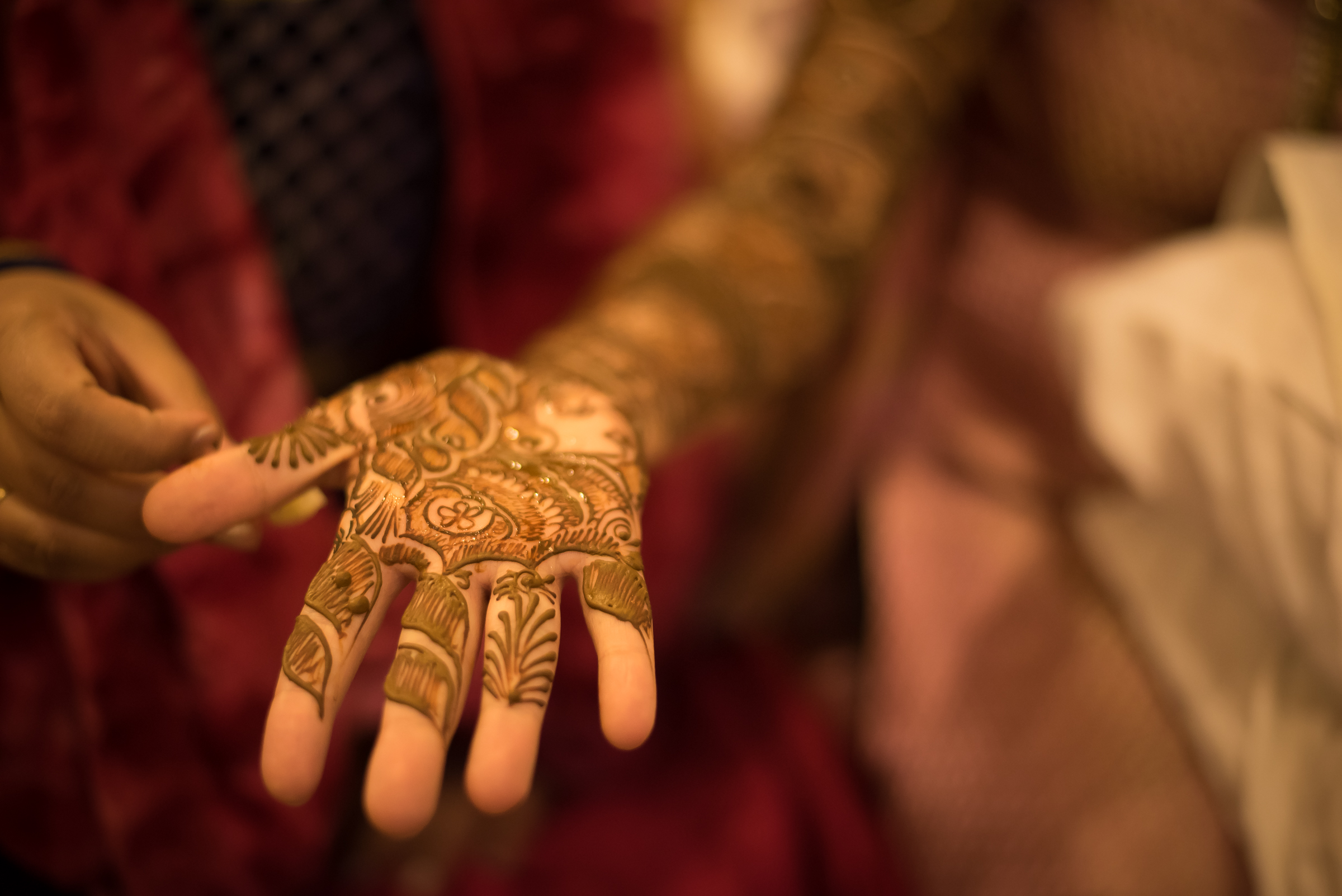 Dinesh & Renuka, Bangalore, India-4