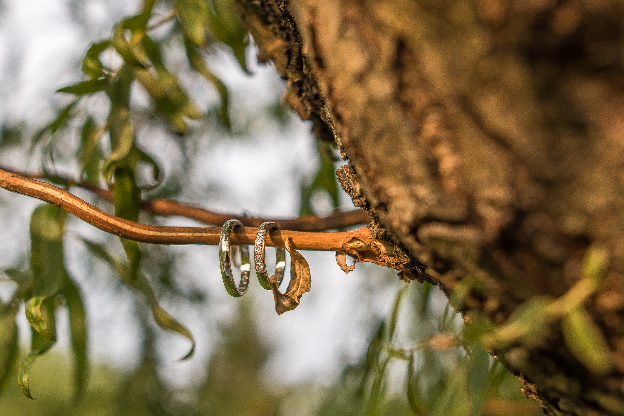 Dobromila & Tomas, Brno-30