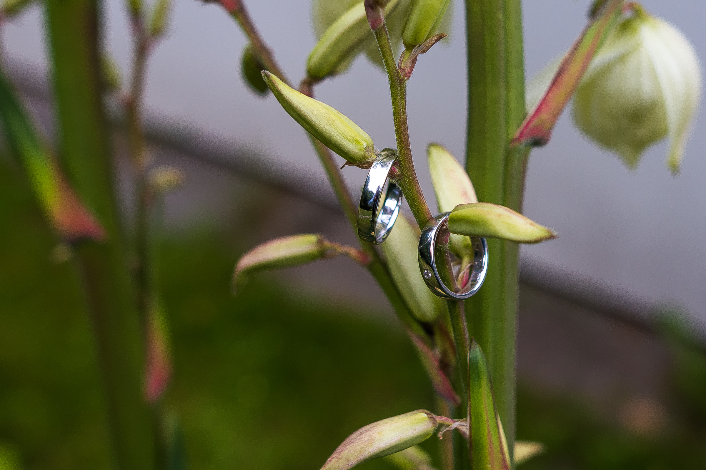 Nikola & Petr, Brno-26