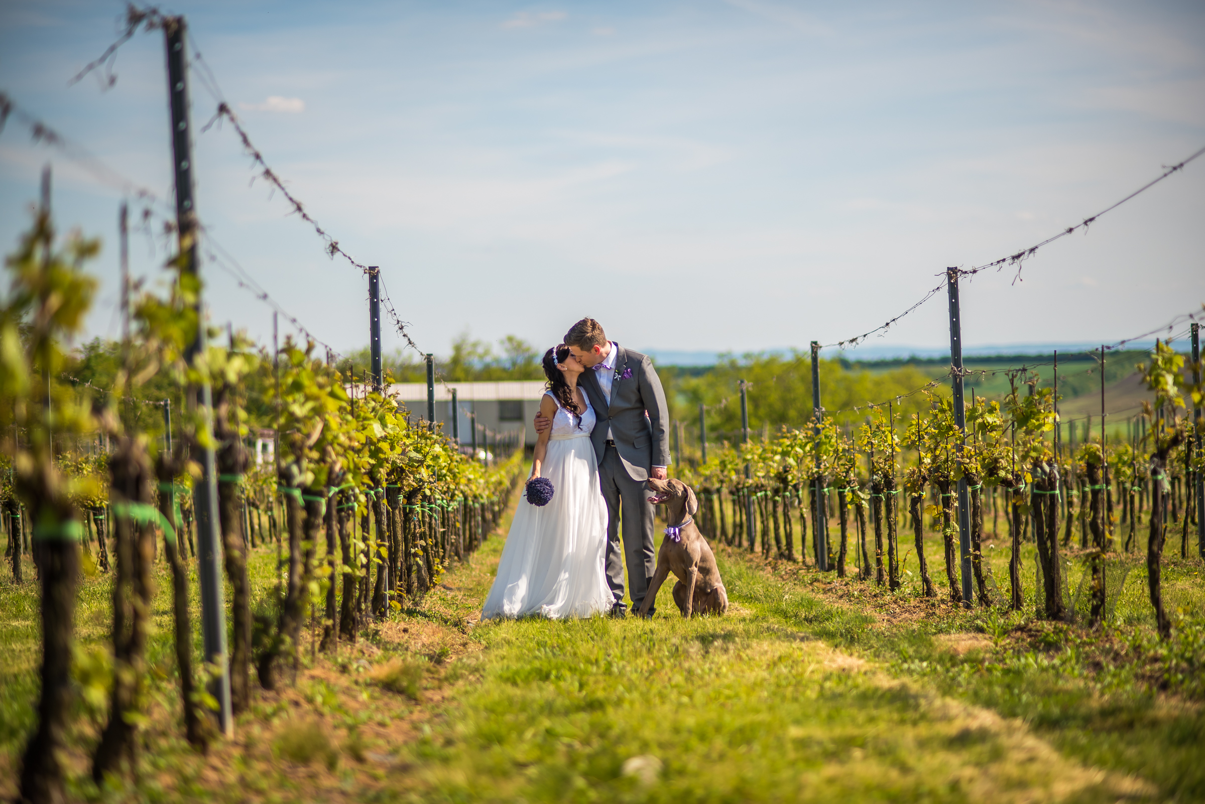 Suzana & Petr, Brno-17