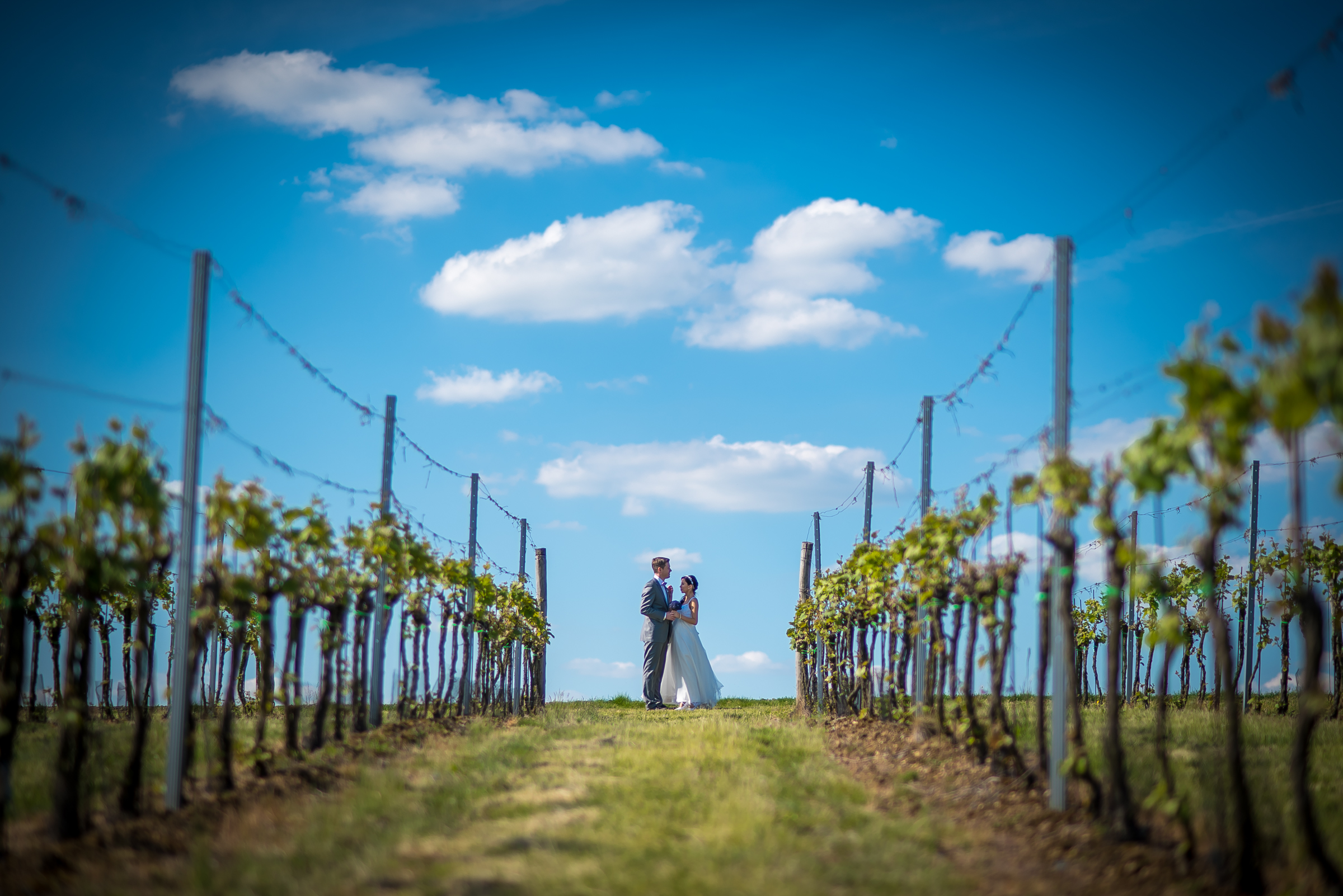 Suzana & Petr, Brno-18