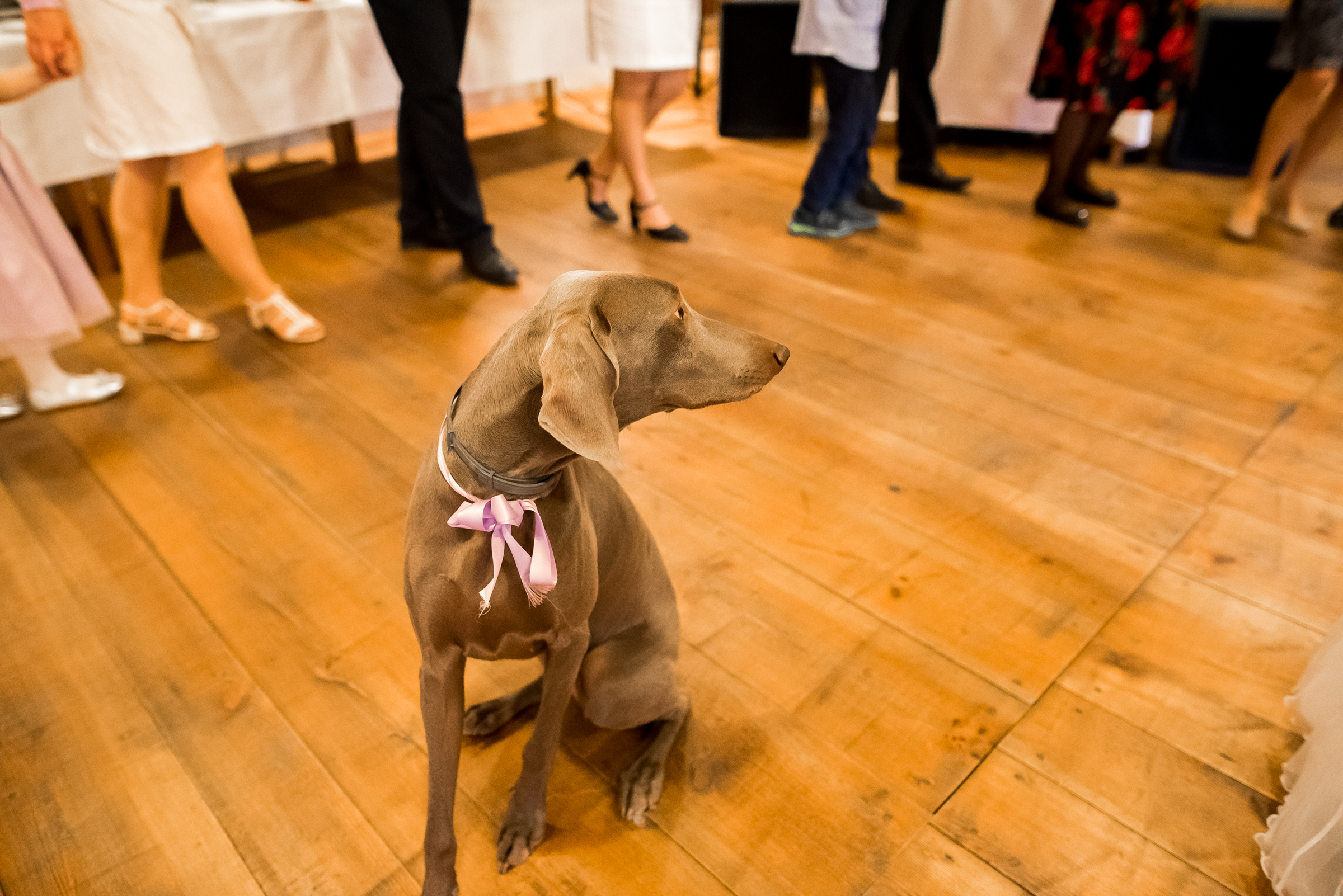 Suzana & Petr, Brno-36